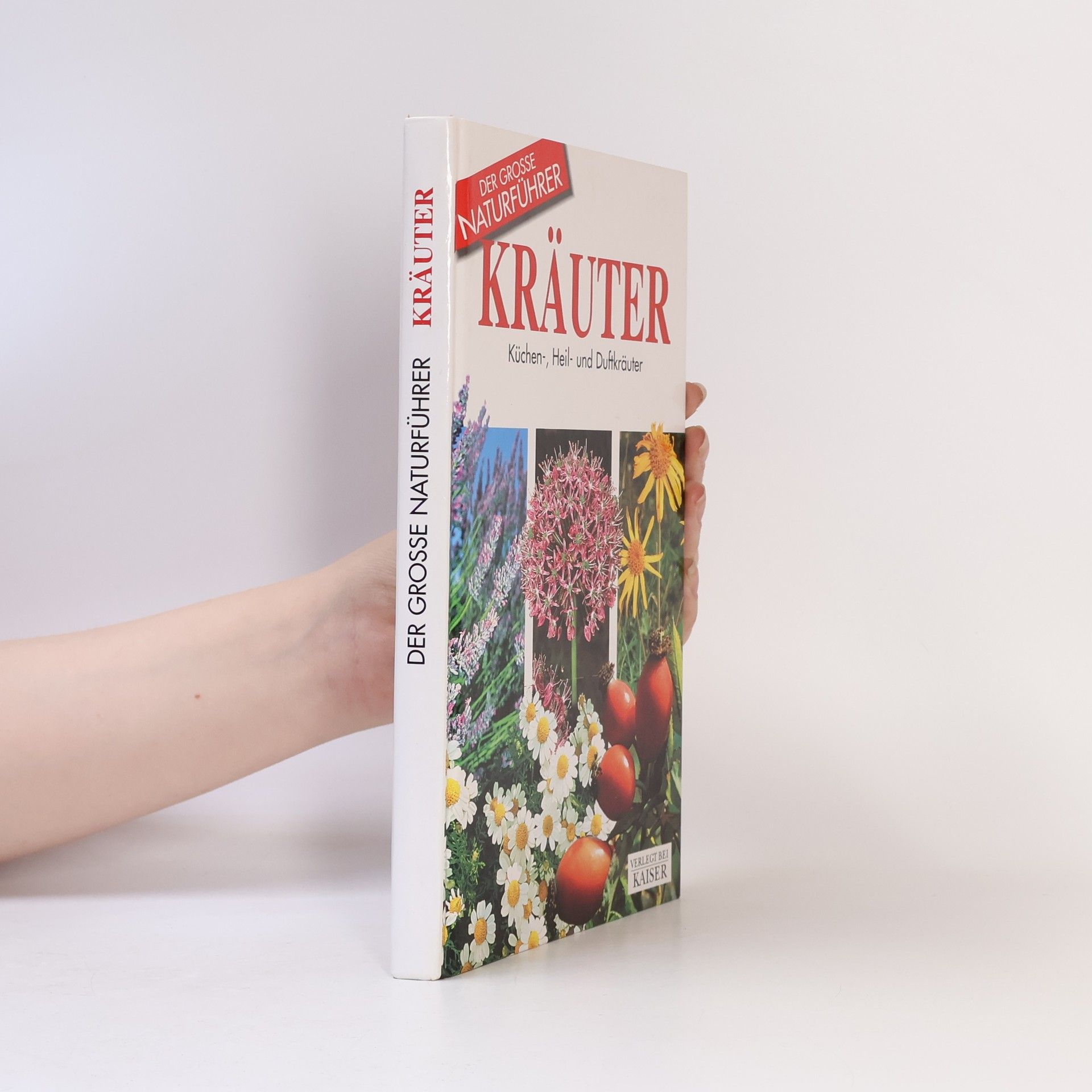 Kräuter. Küchen-, Heil- und Duftkräuter