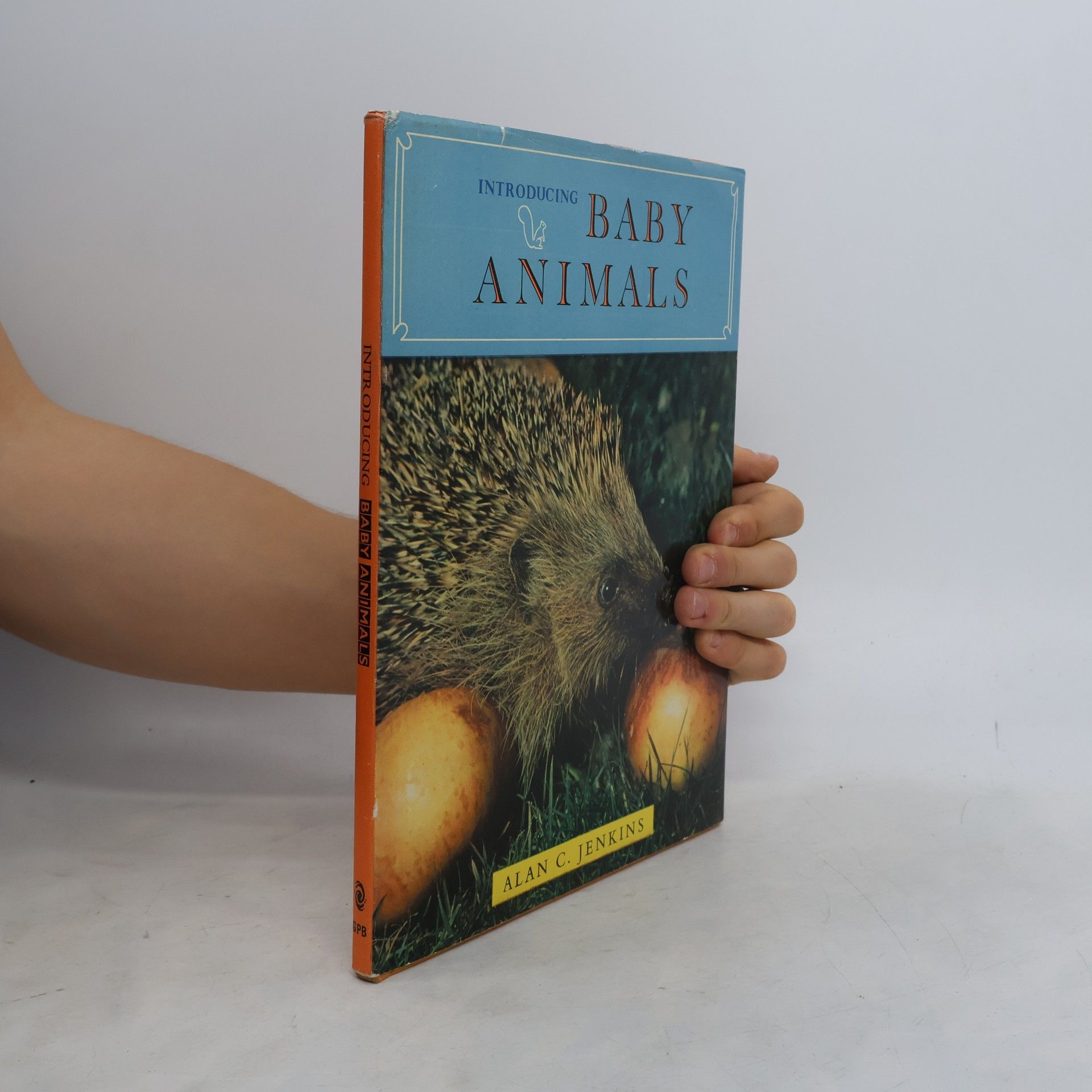 Introducing Baby Animals