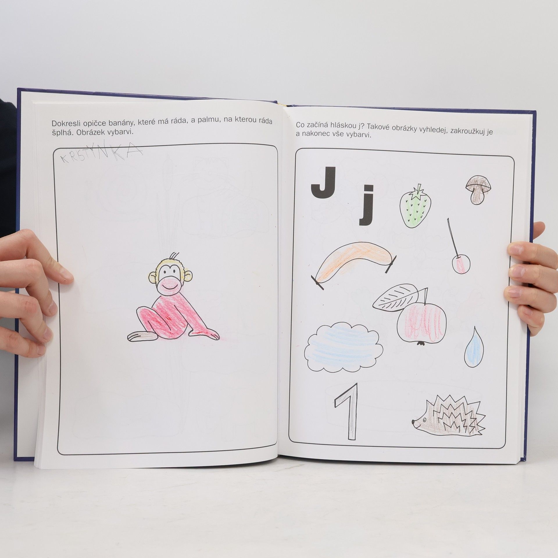 Various authors Velká kniha her a úkolů pro kluky a holky
