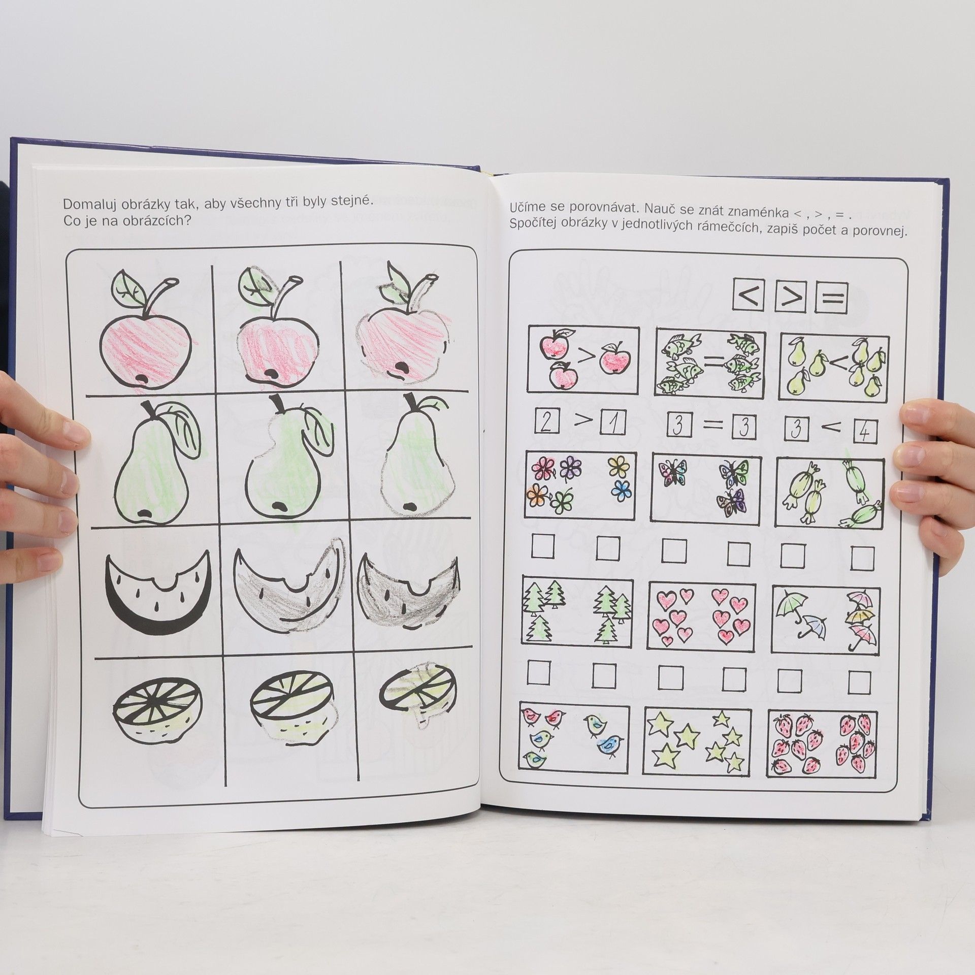 Various authors Velká kniha her a úkolů pro kluky a holky