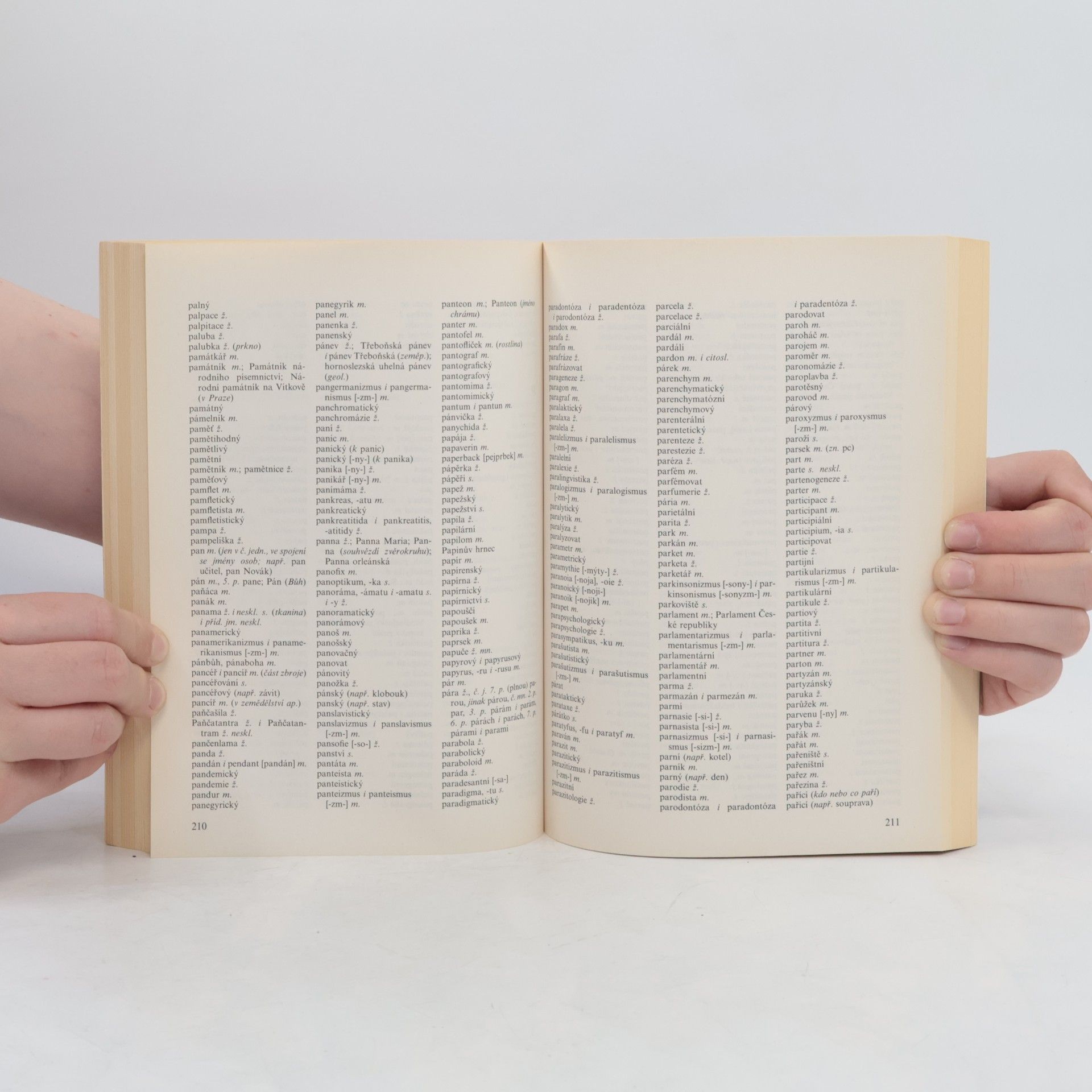 Various authors Pravidla českého pravopisu