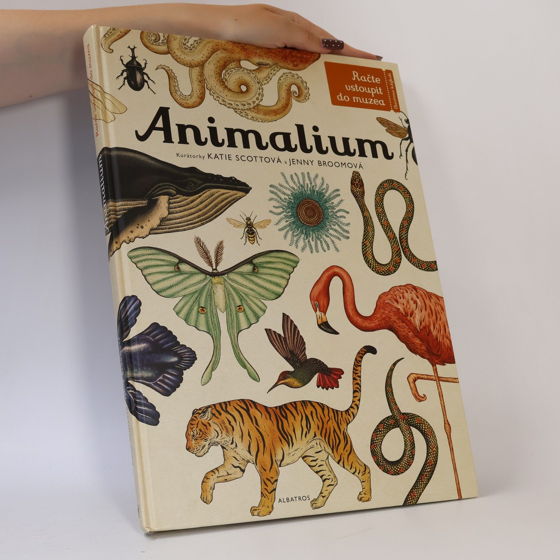 Jenny Broom Animalium