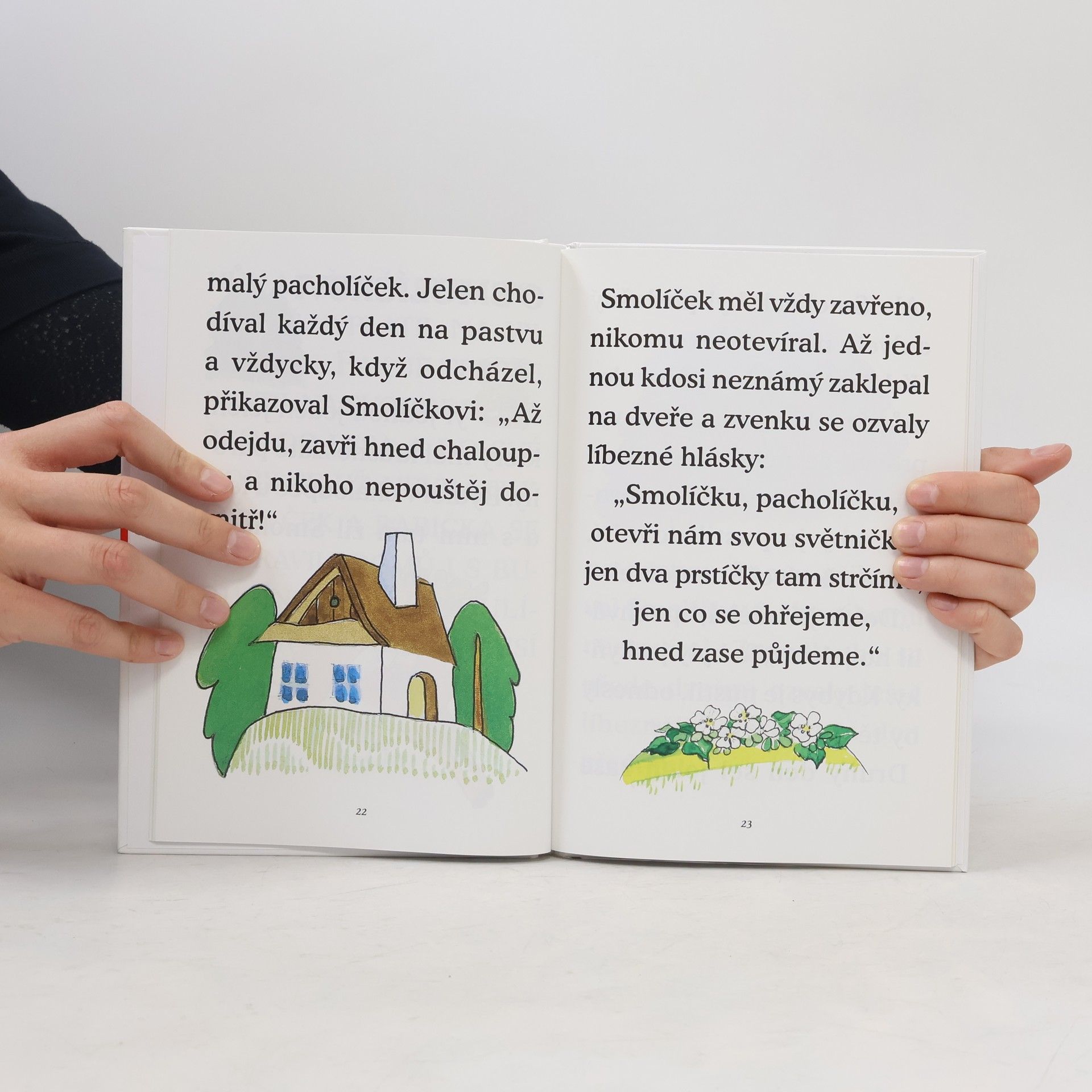 Gabriela Kopcová Učíme se číst