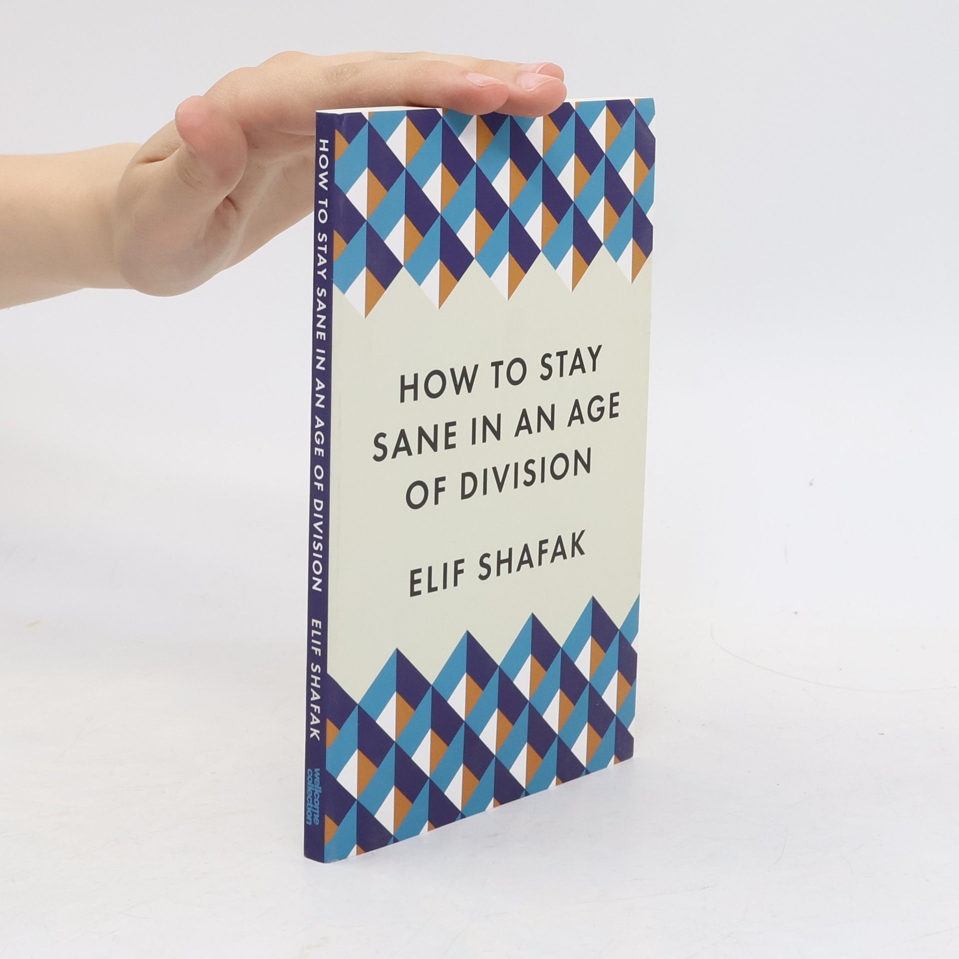 Elif Şafak How to stay sane in an age of division