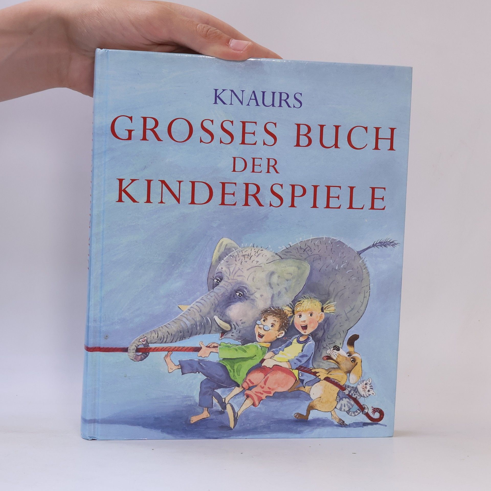 Martin Stiefenhofer Knaurs grosses Buch der Kinderspiele