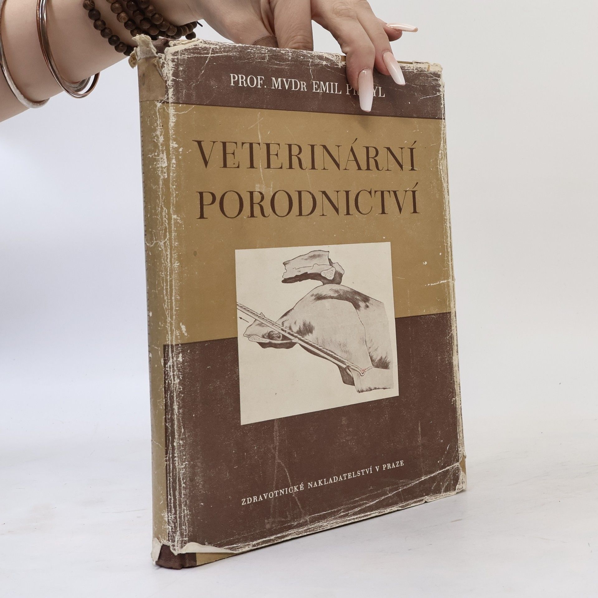 Emil Přibyl Veterinární porodnictví
