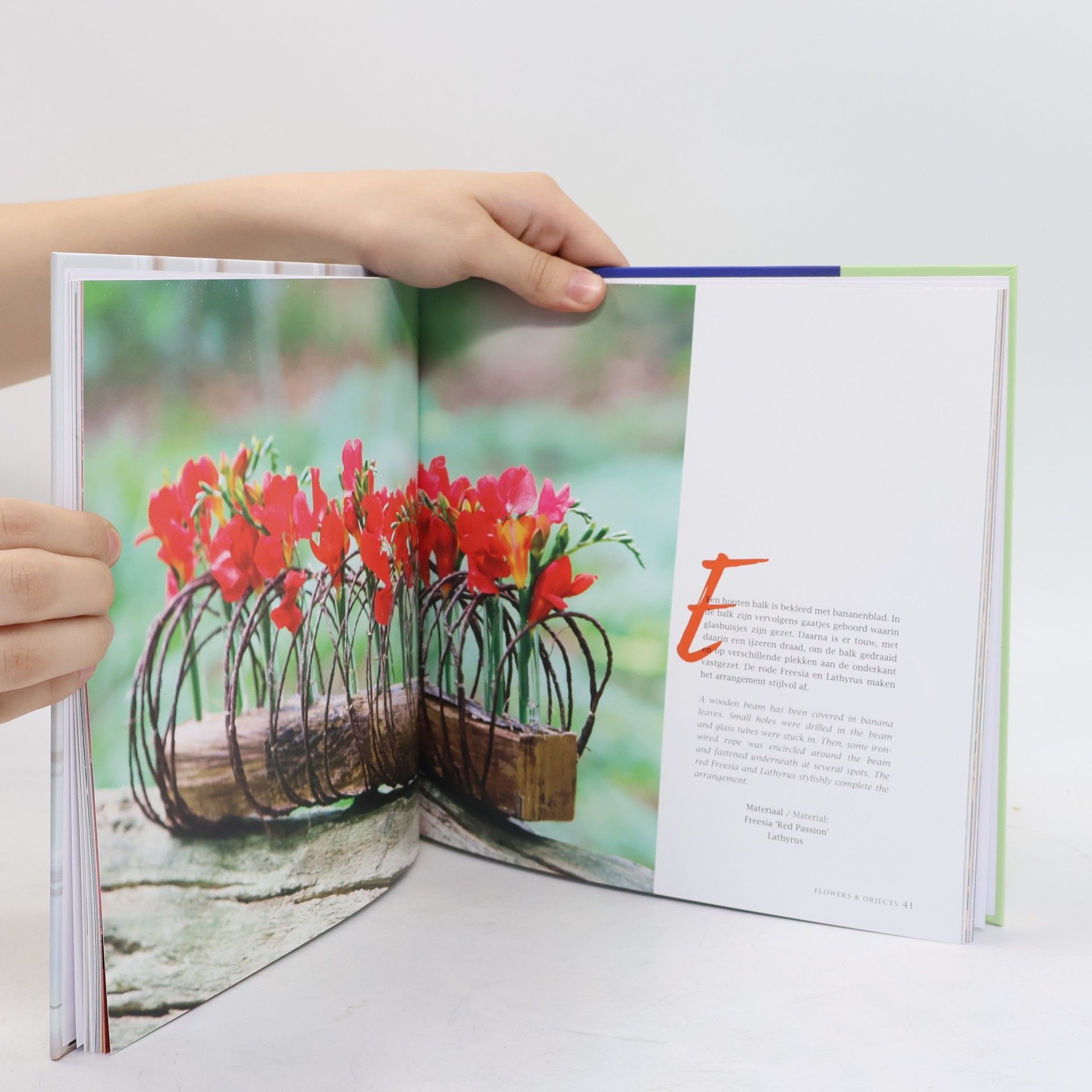 Geertje Stienstra Flowers & Objects