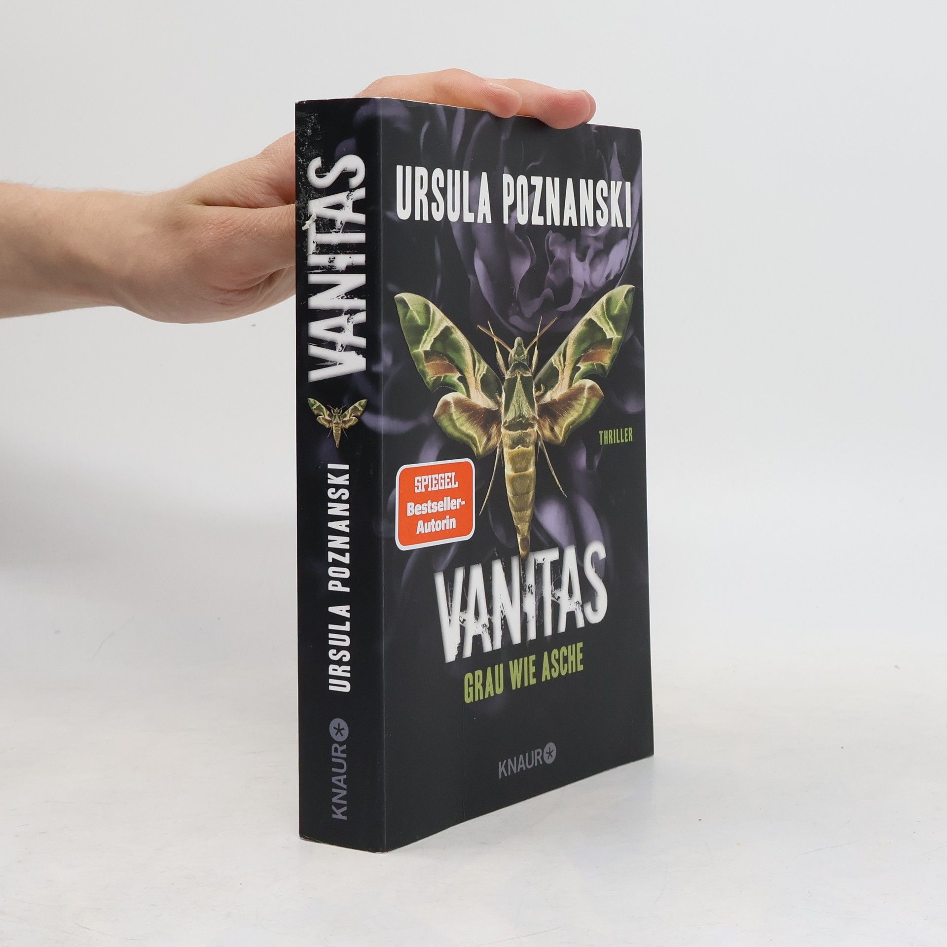 Ursula Poznanski Vanitas. Grau wie Asche