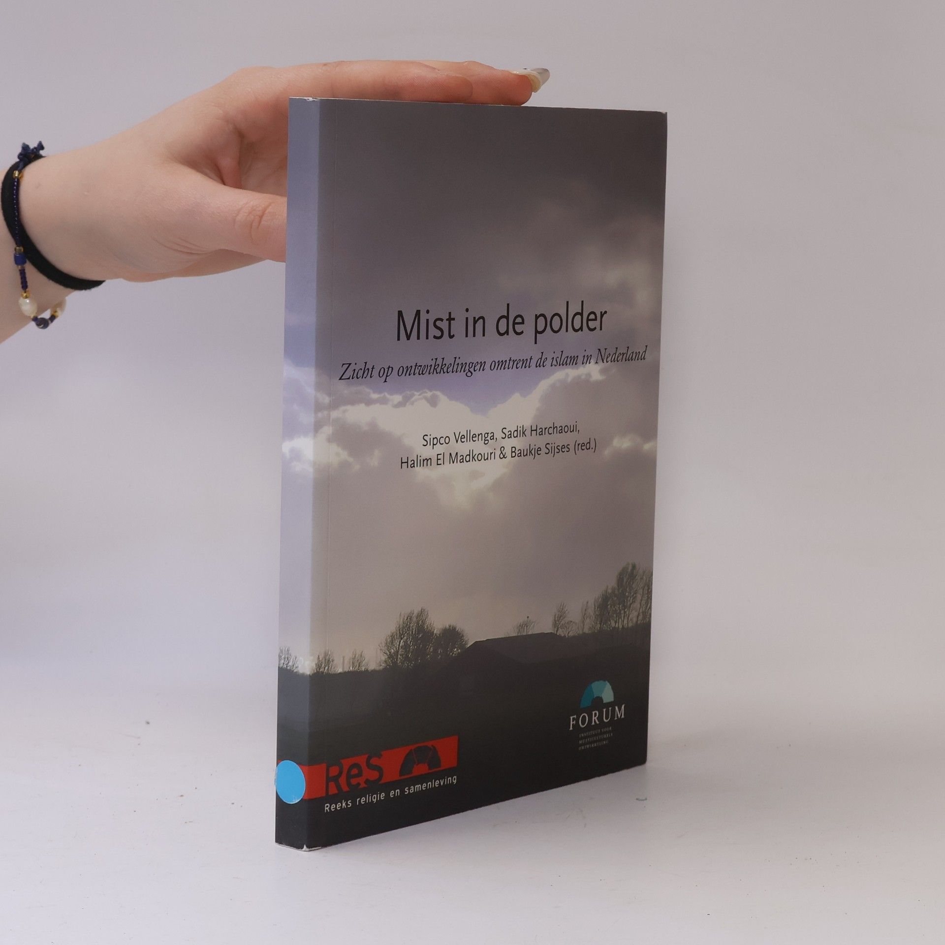 Baukje Sijses Reeks religie en samenleving: Mist in de polder