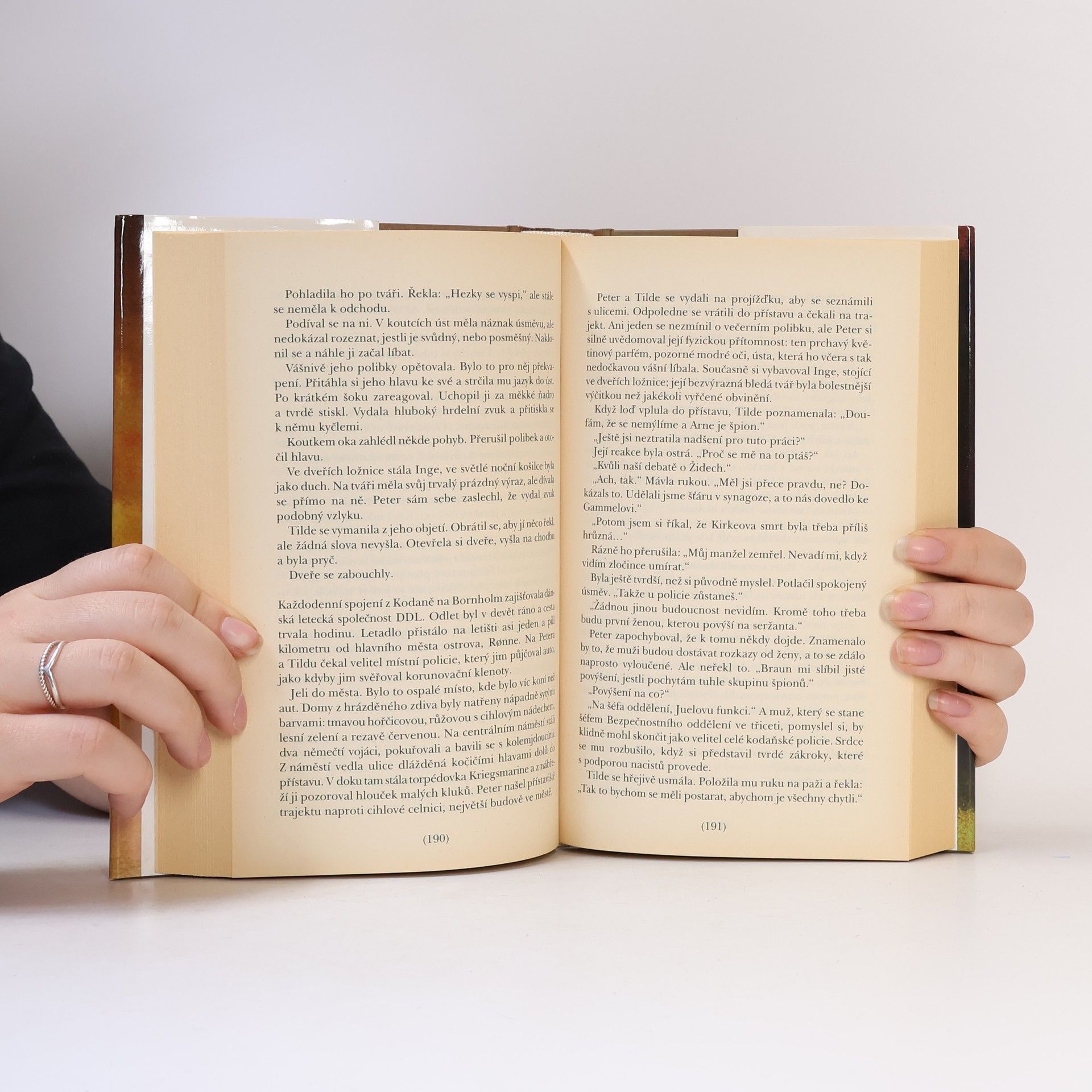 Ken Follett Sršeň létá v noci