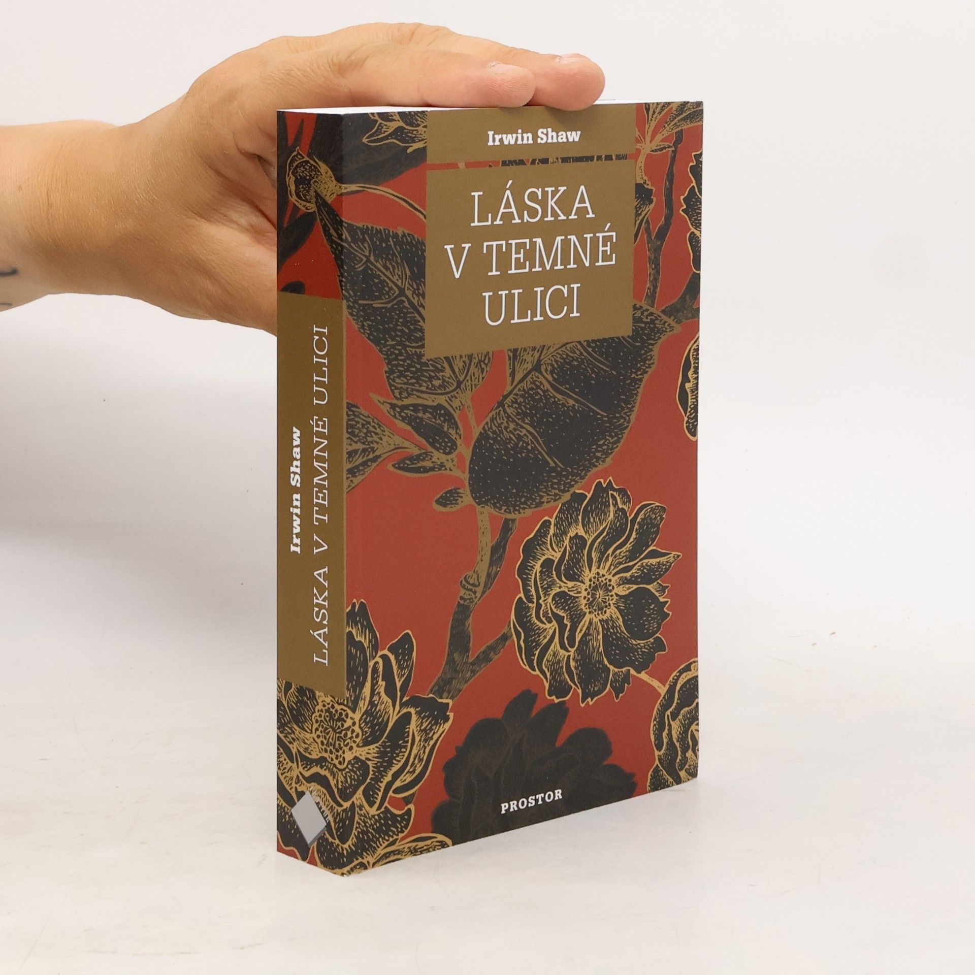 Irwin Shaw Láska v temné ulici