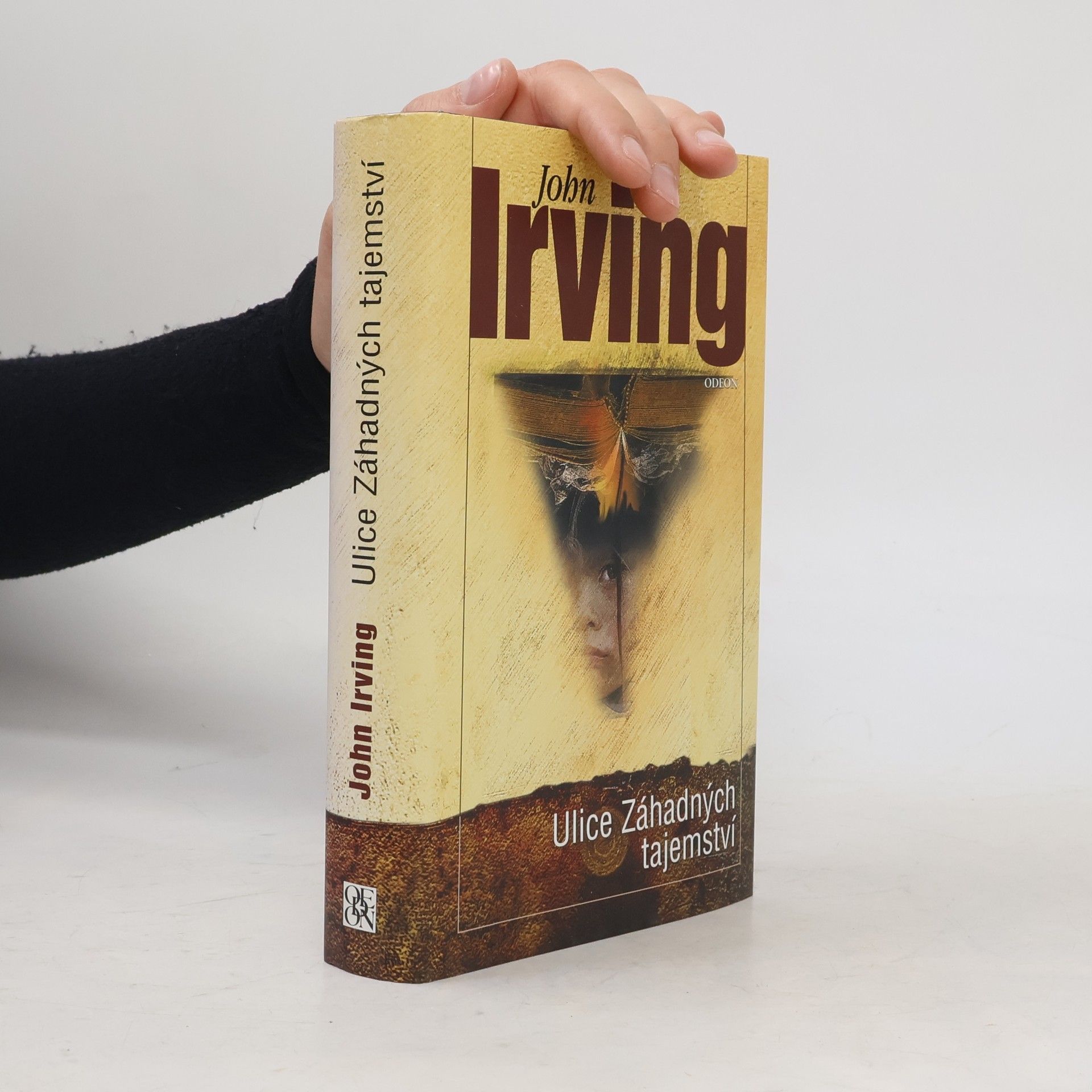 John Irving Ulice Záhadných tajemství