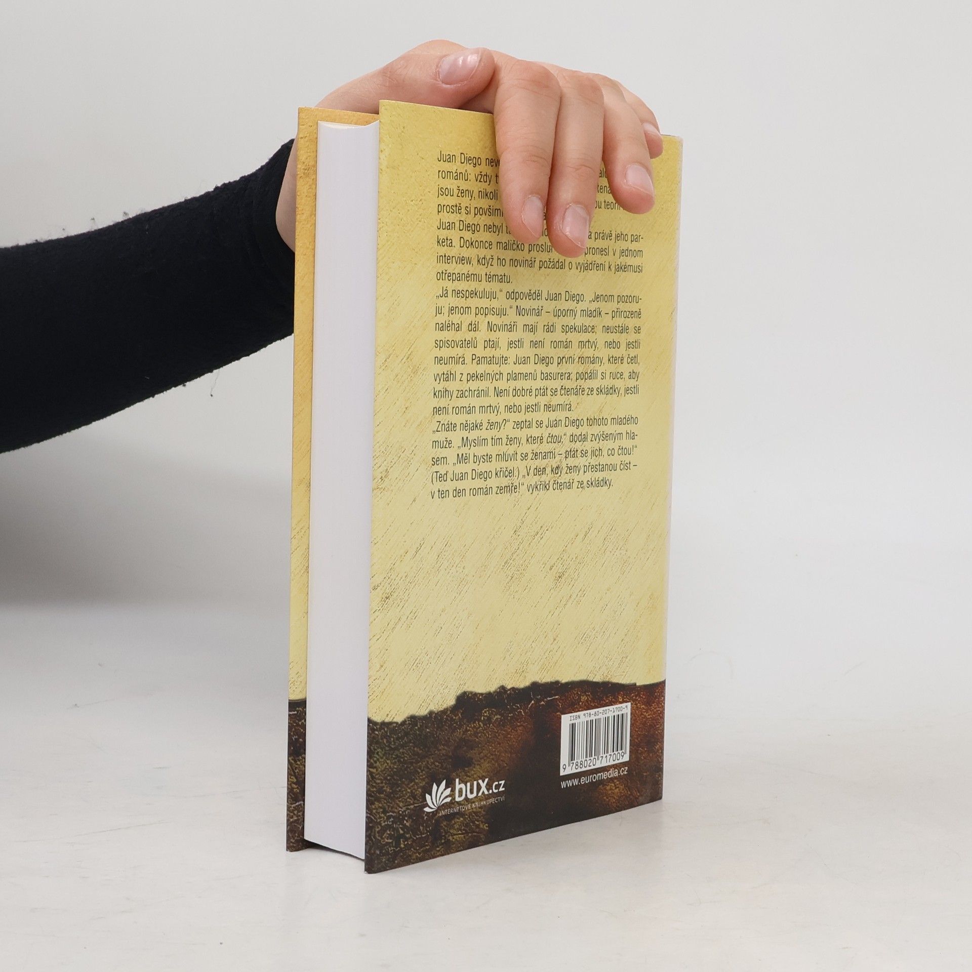 John Irving Ulice Záhadných tajemství
