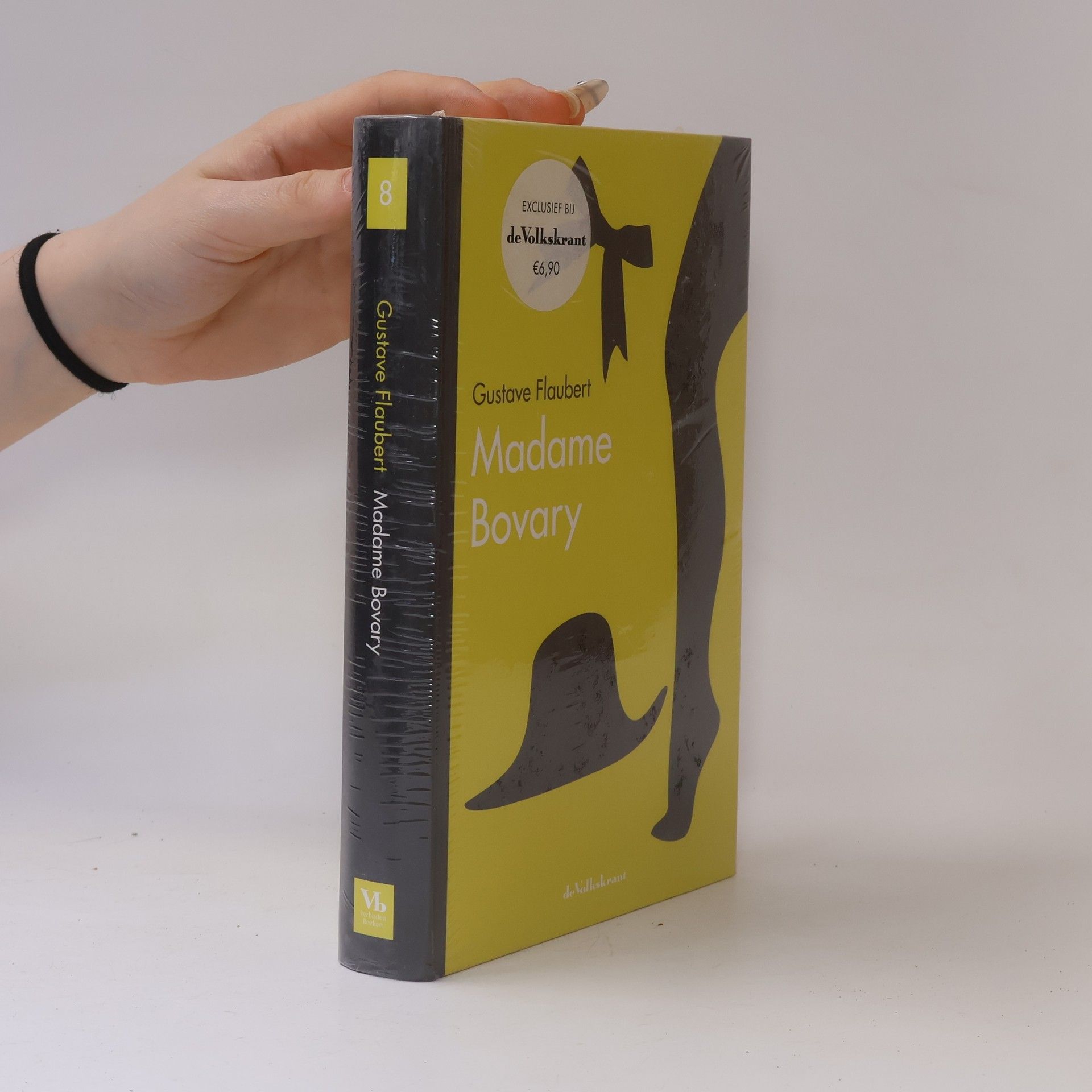 Gustave Flaubert Madame Bovary