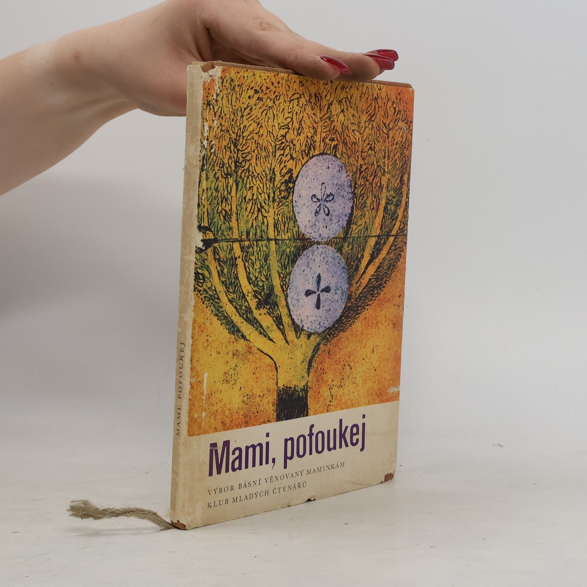 Dagmar Lhotová Mami, pofoukej