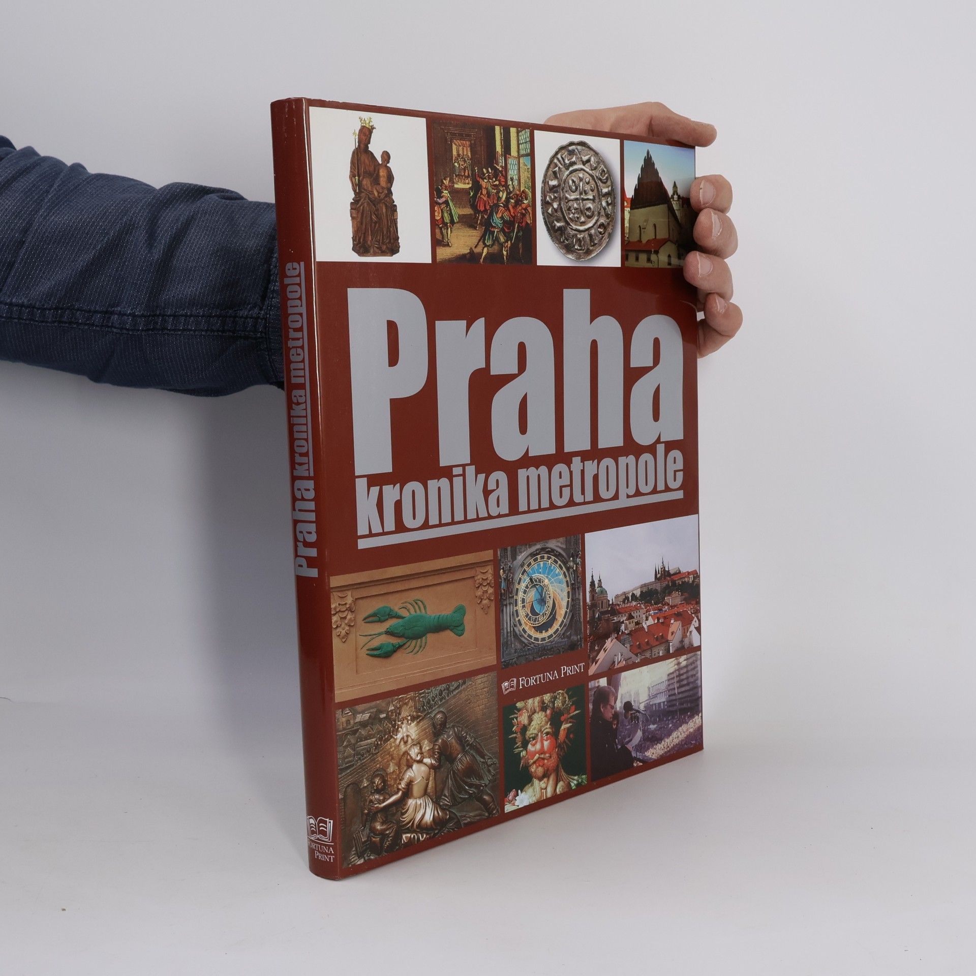 Pavel Bělina Praha : kronika metropole