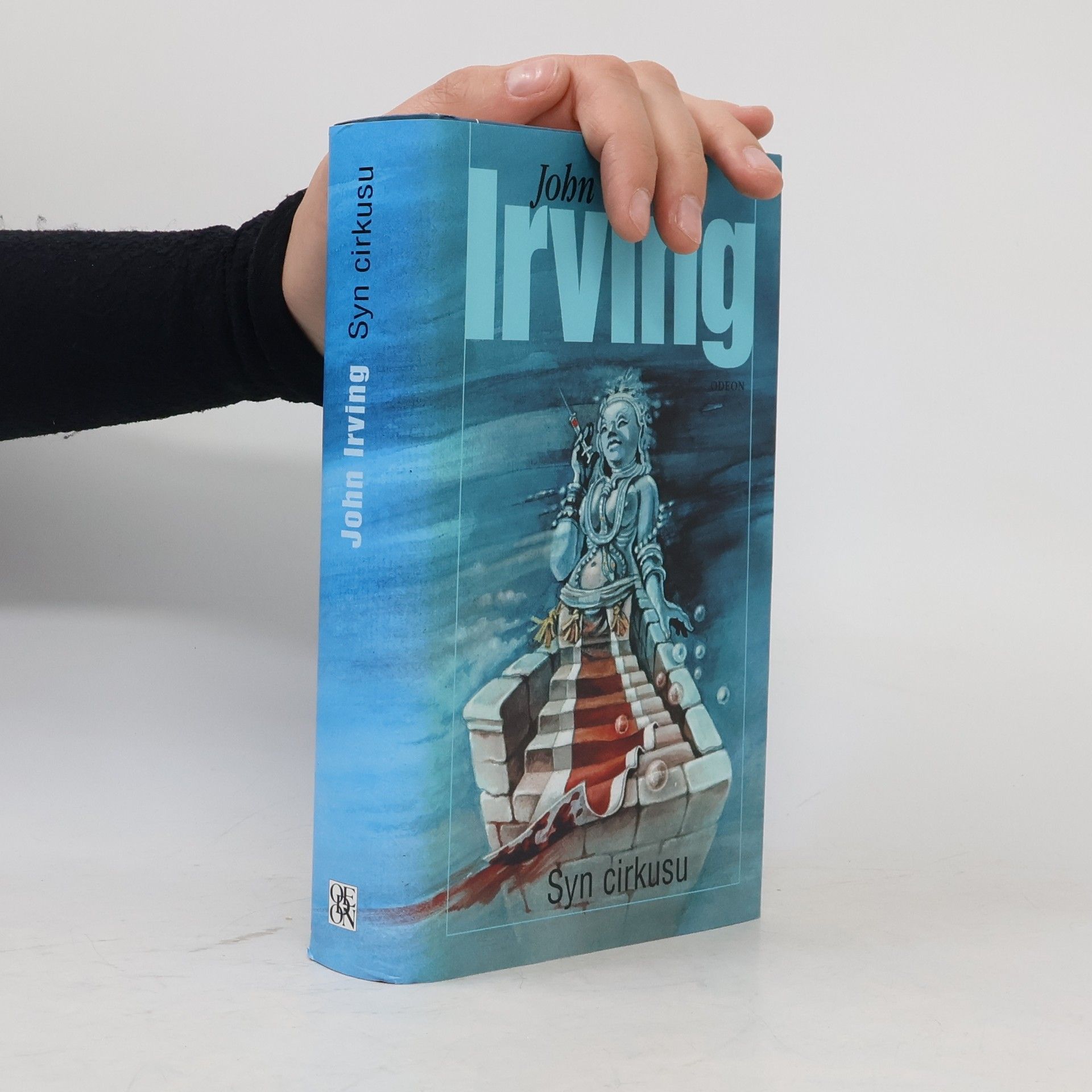 John Irving Syn cirkusu