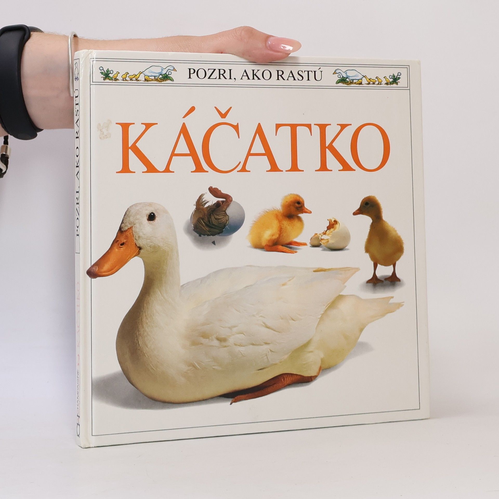 Kolektív autorov Káčatko
