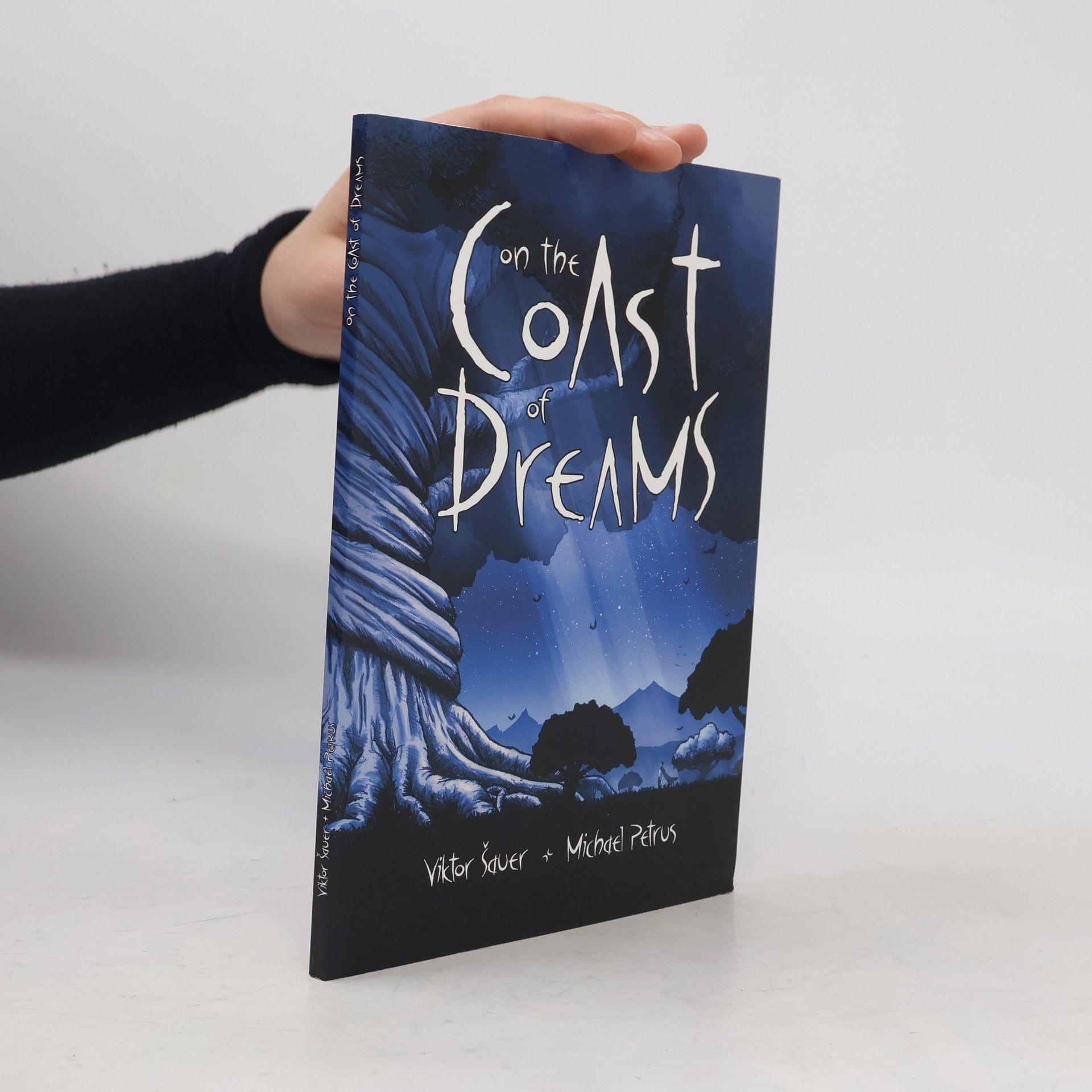 Michael Petrus On the coast of dreams