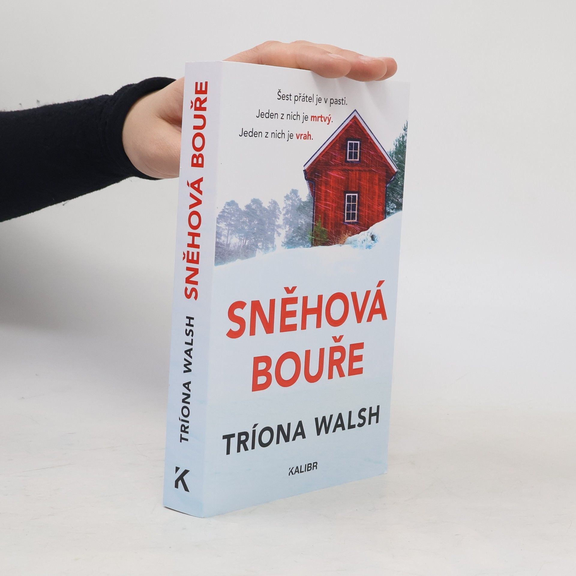 Tríona Walsh Sněhová bouře