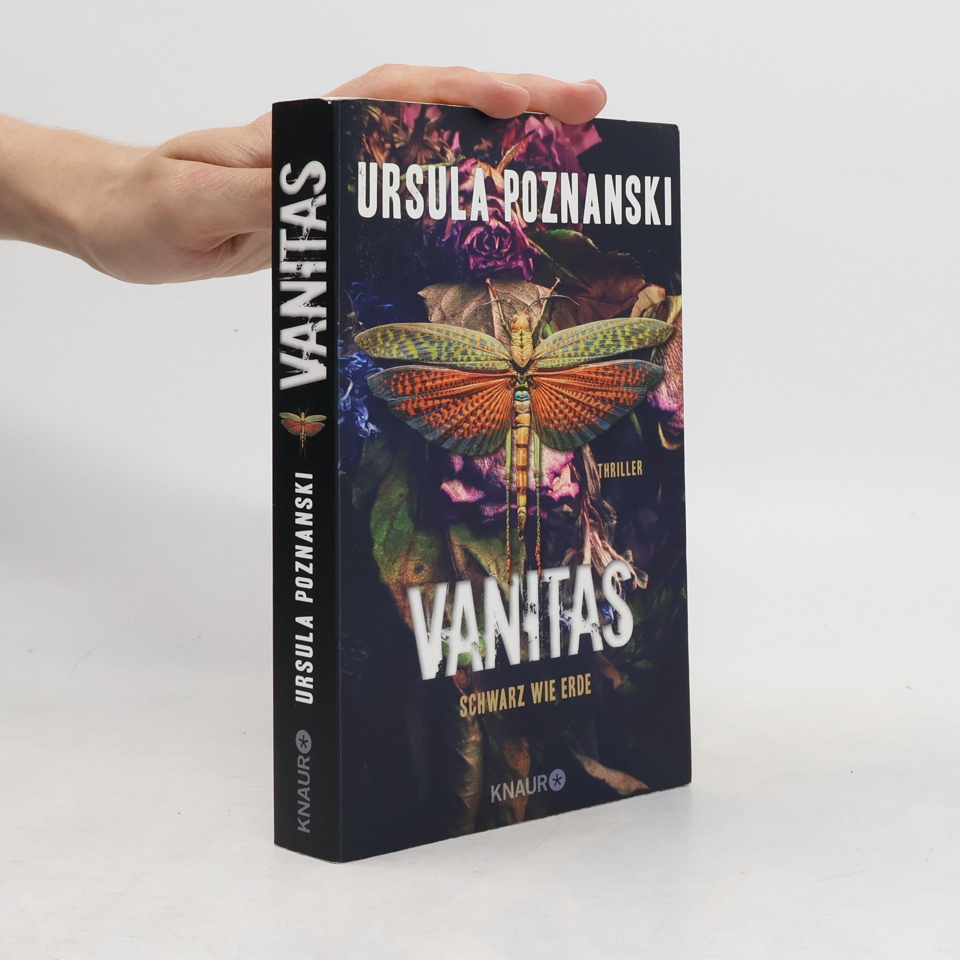 Ursula Poznanski Vanitas