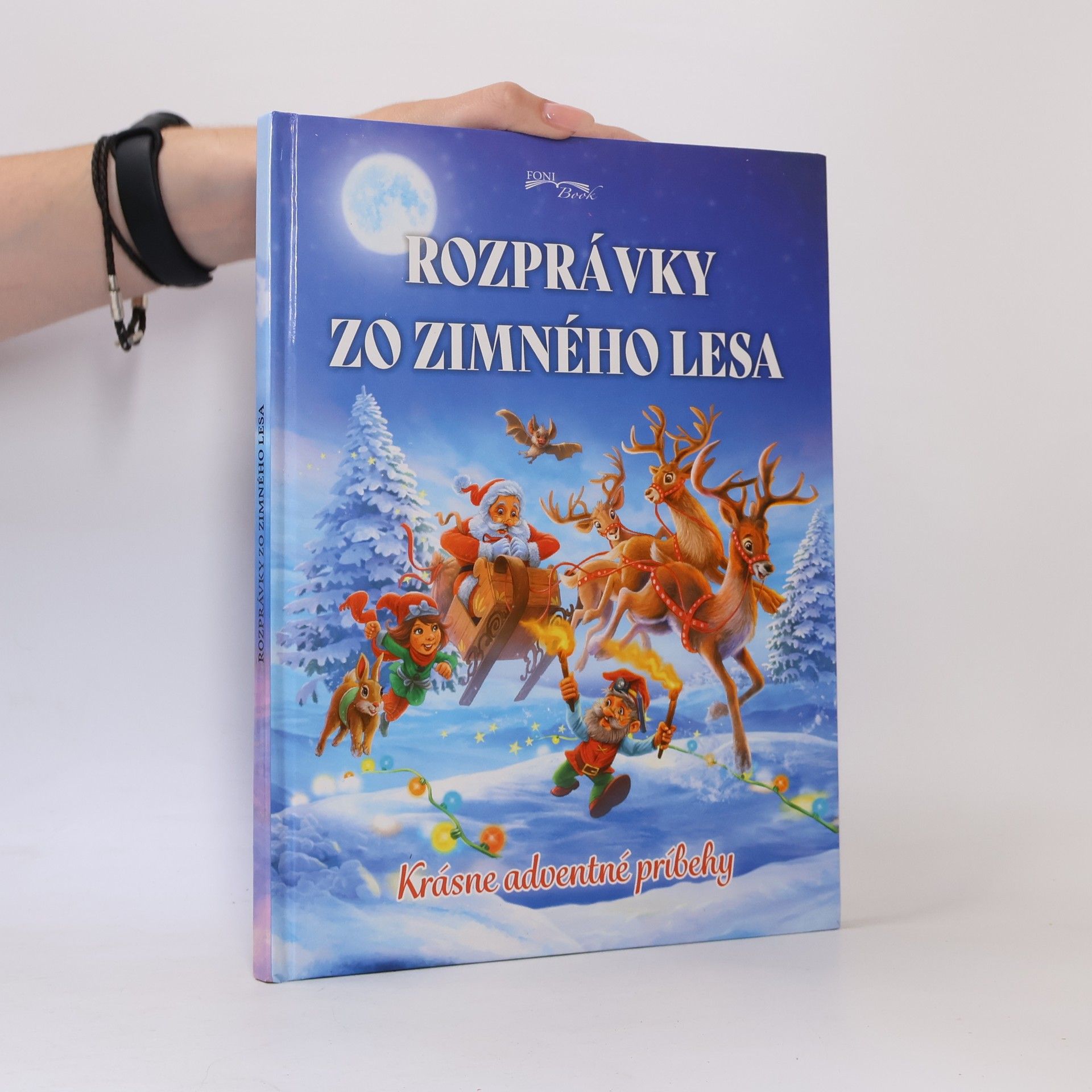 Various authors Rozprávky zo zimného lesa