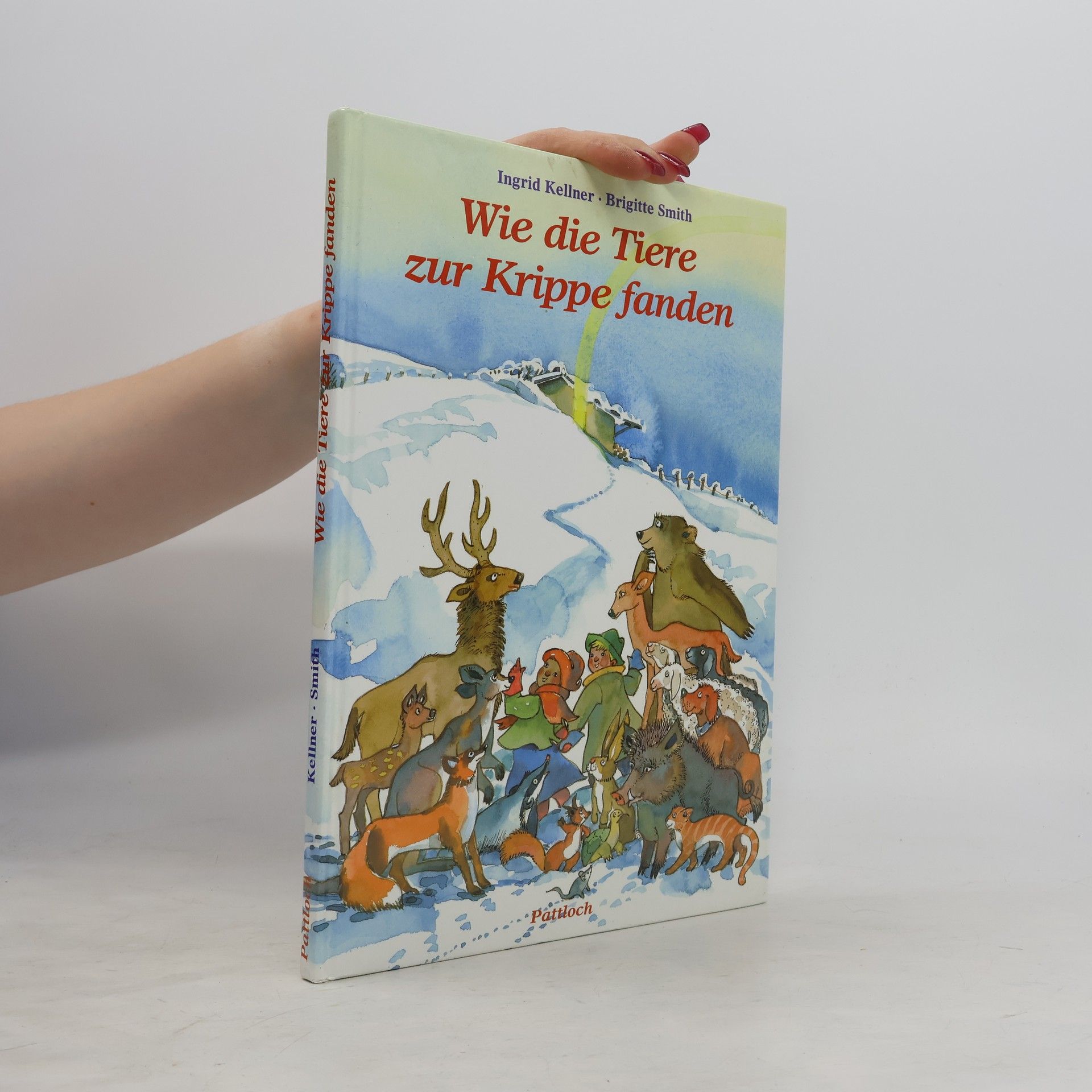 Wie die Tiere zur Krippe fanden
