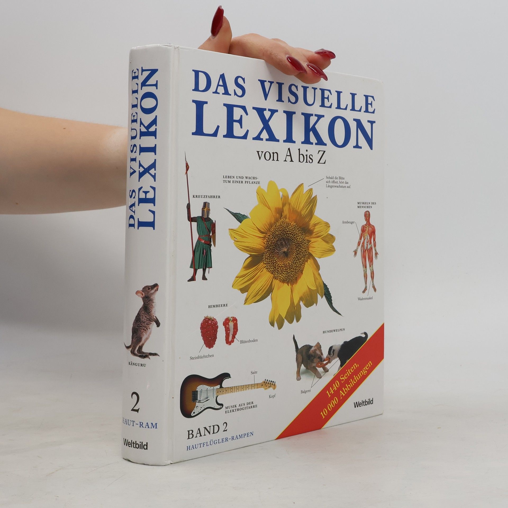 Autorenkollektiv Das visuelle Lexikon von A bis Z. Band 2