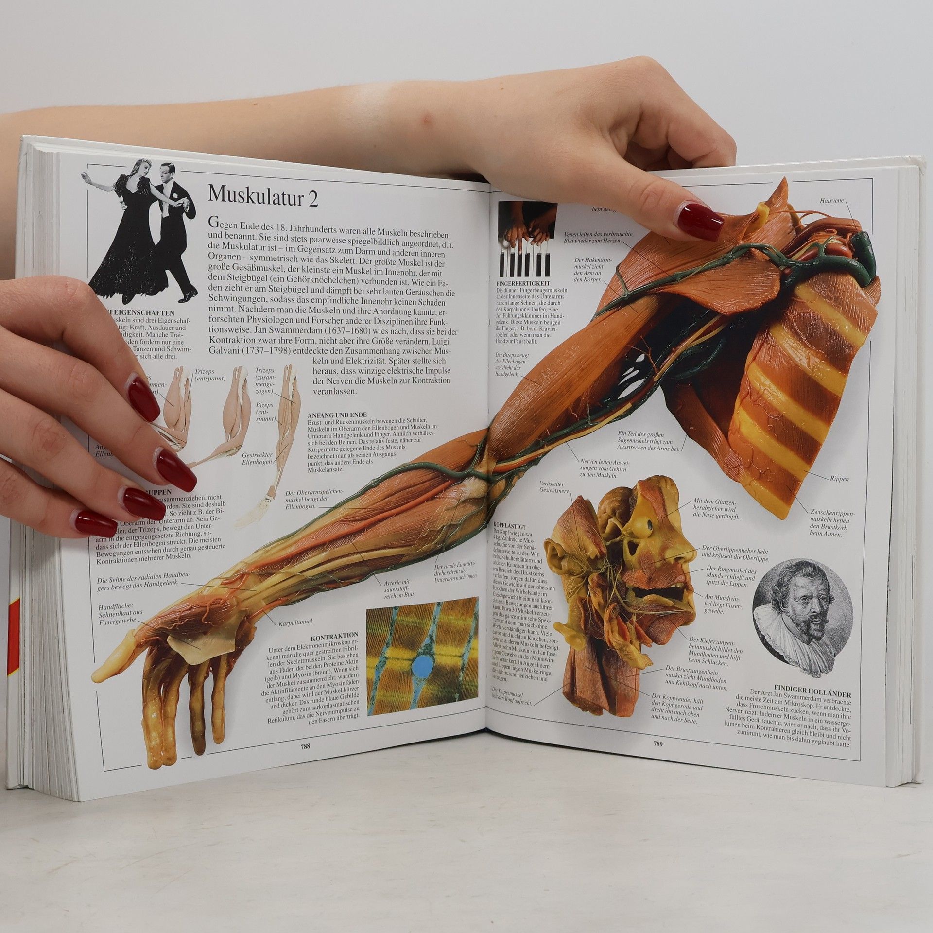Autorenkollektiv Das visuelle Lexikon von A bis Z. Band 2