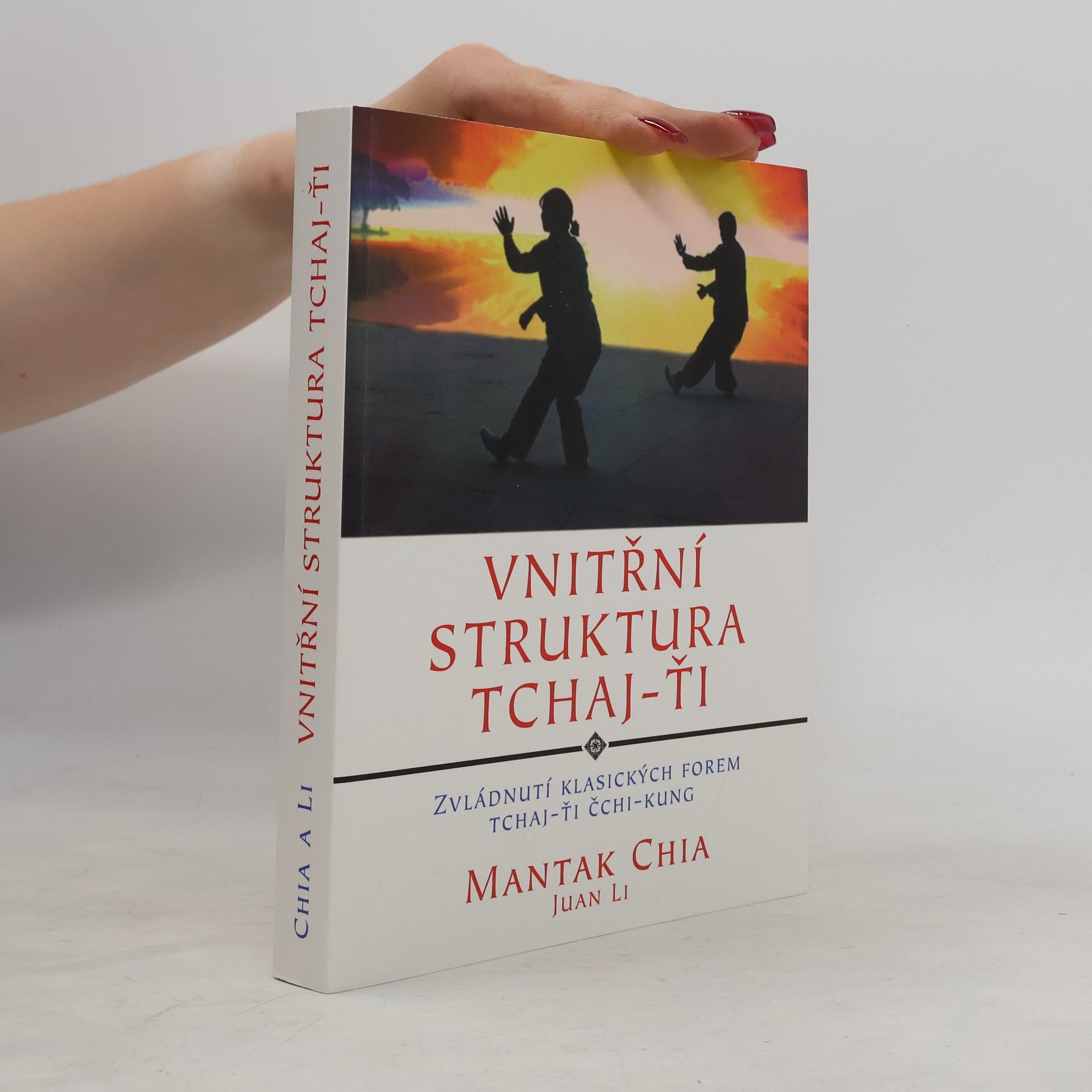 Mantak Chia Vnitřní struktura Tchaj-ťi