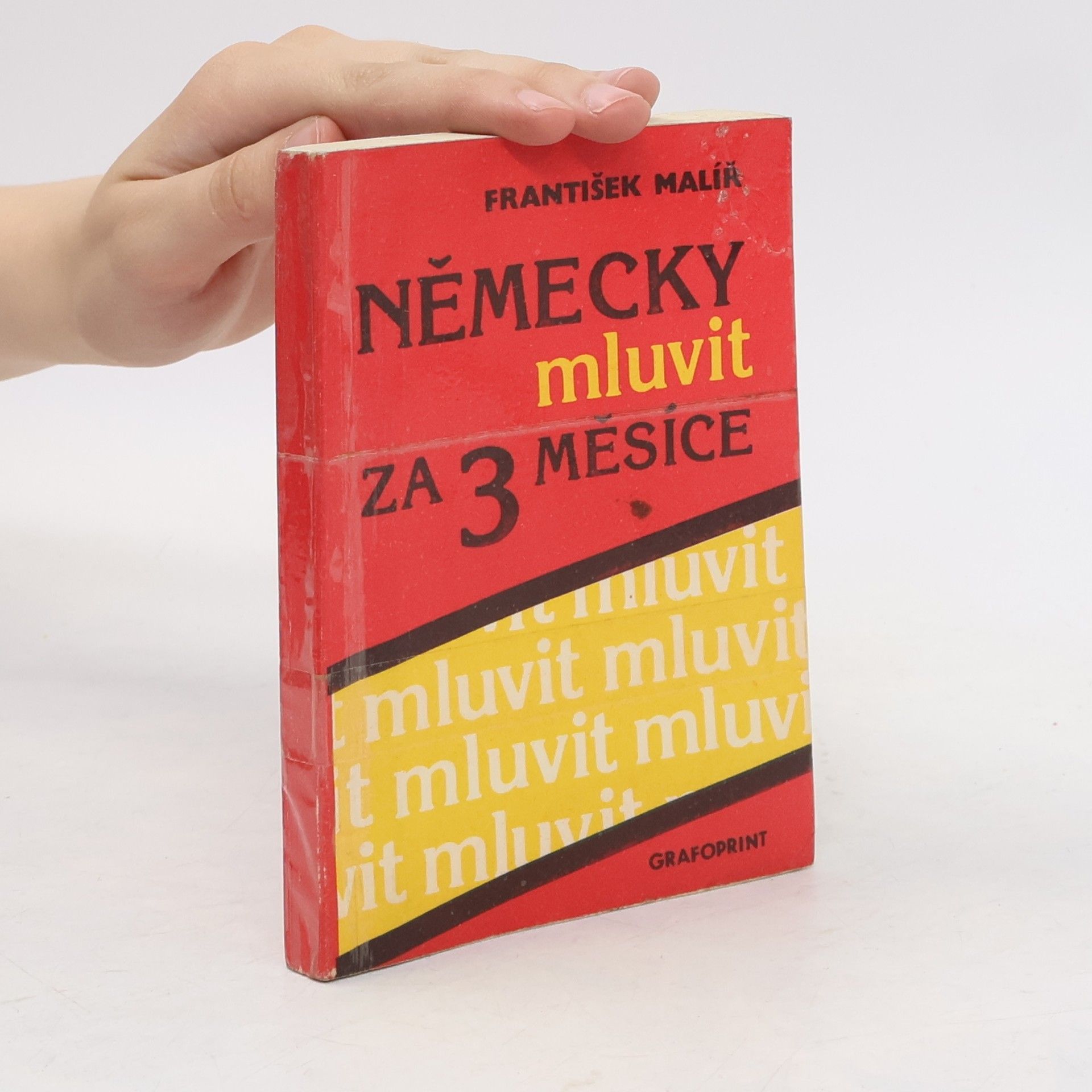 František Malíř Německy mluvit za 3 měsíce
