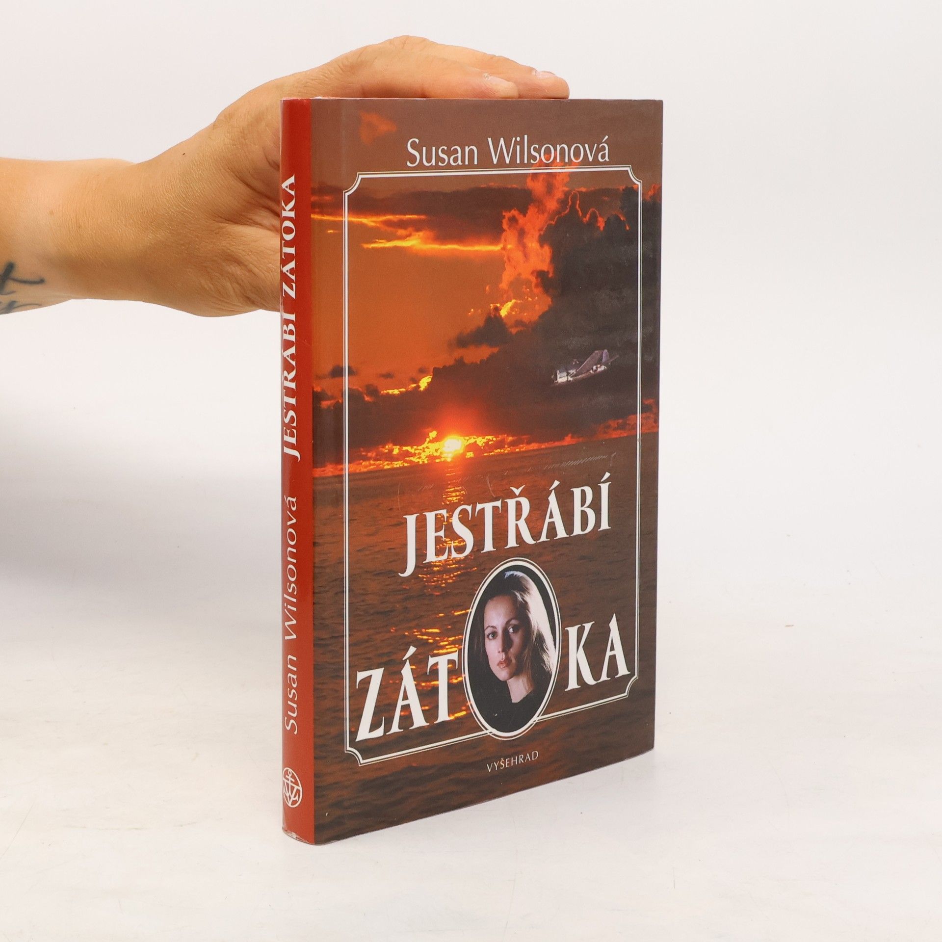 Susan Wilson Jestřábí zátoka