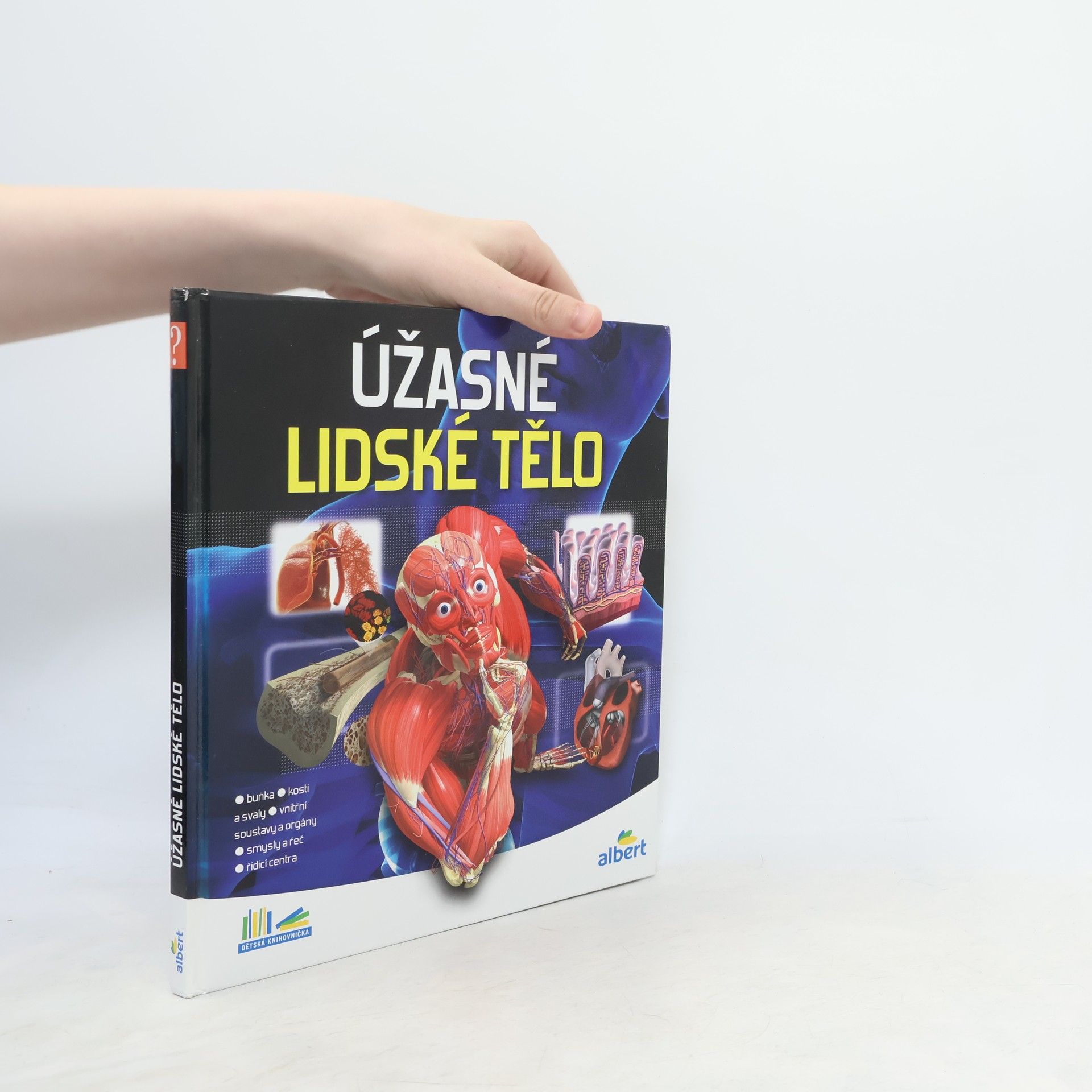 Autorenkollektiv Úžasné lidské tělo - Jak to funguje?
