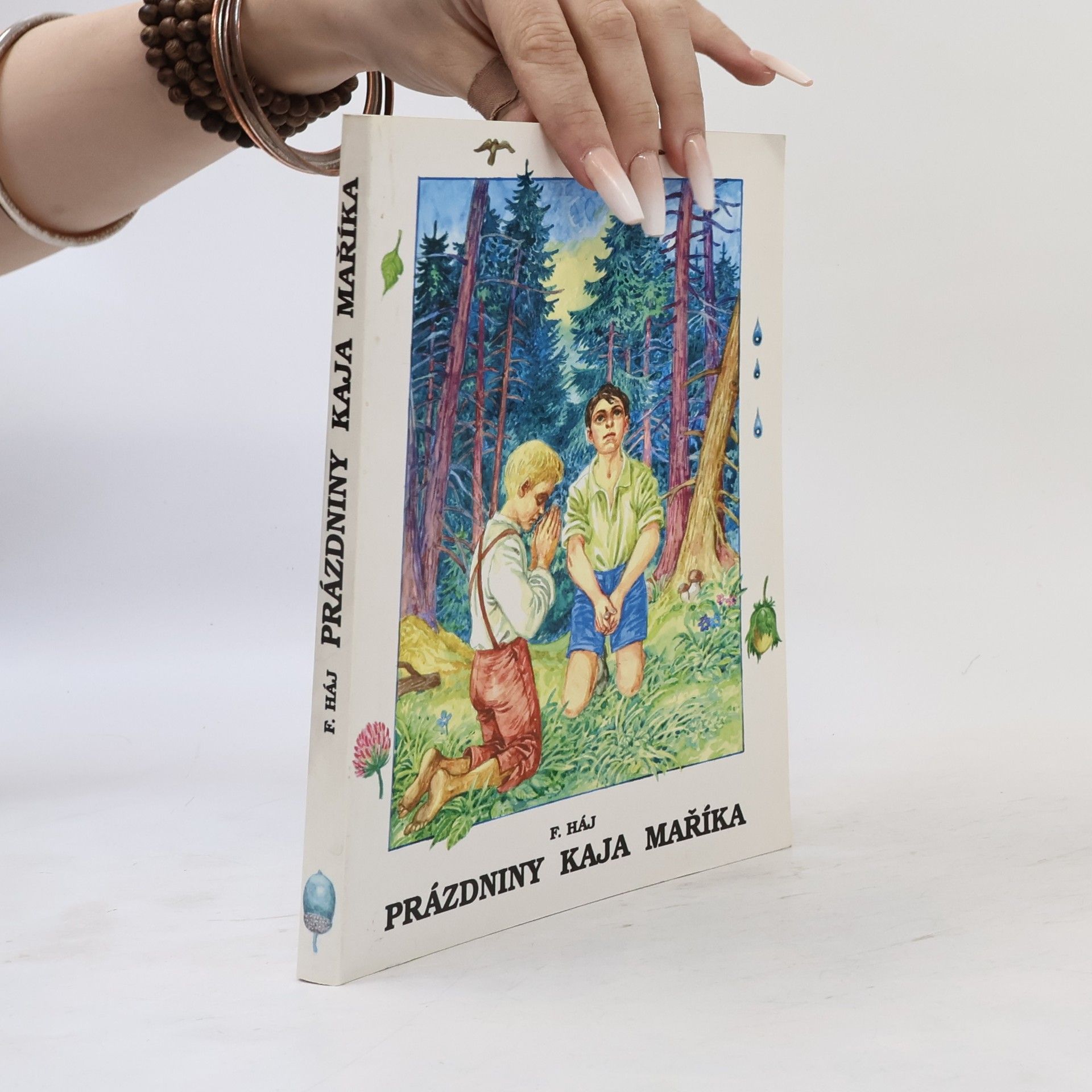 Felix Haj Prázdniny Kaja Maříka