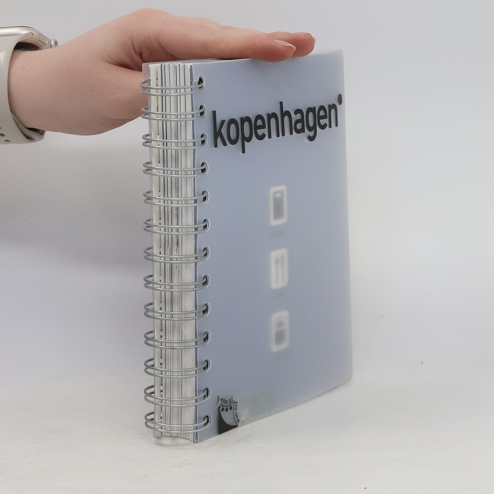 Kolektiv autorů Kopenhagen shoppen eten slapen