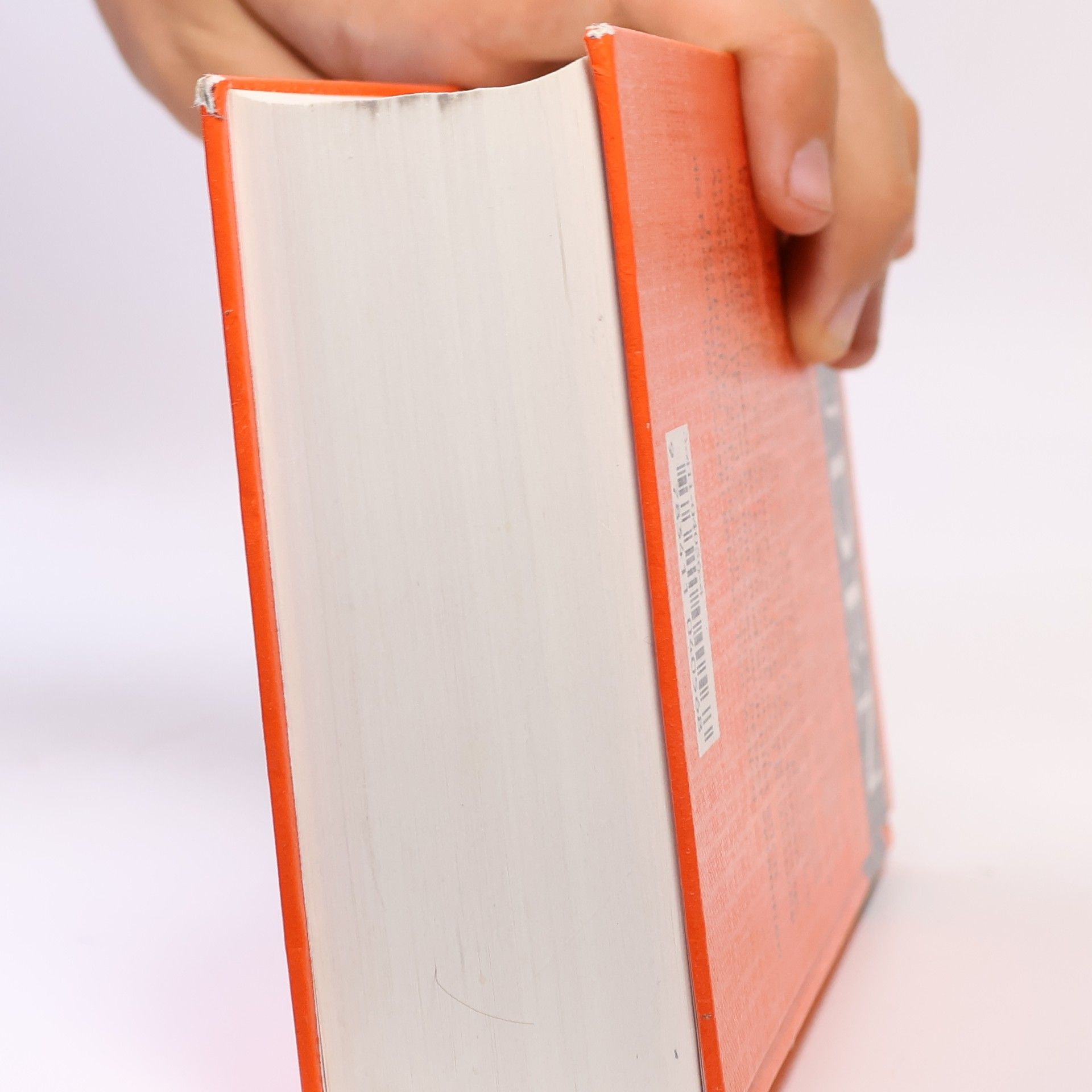 Werner Scholze Stubenrecht Das Fremdwörterbuch