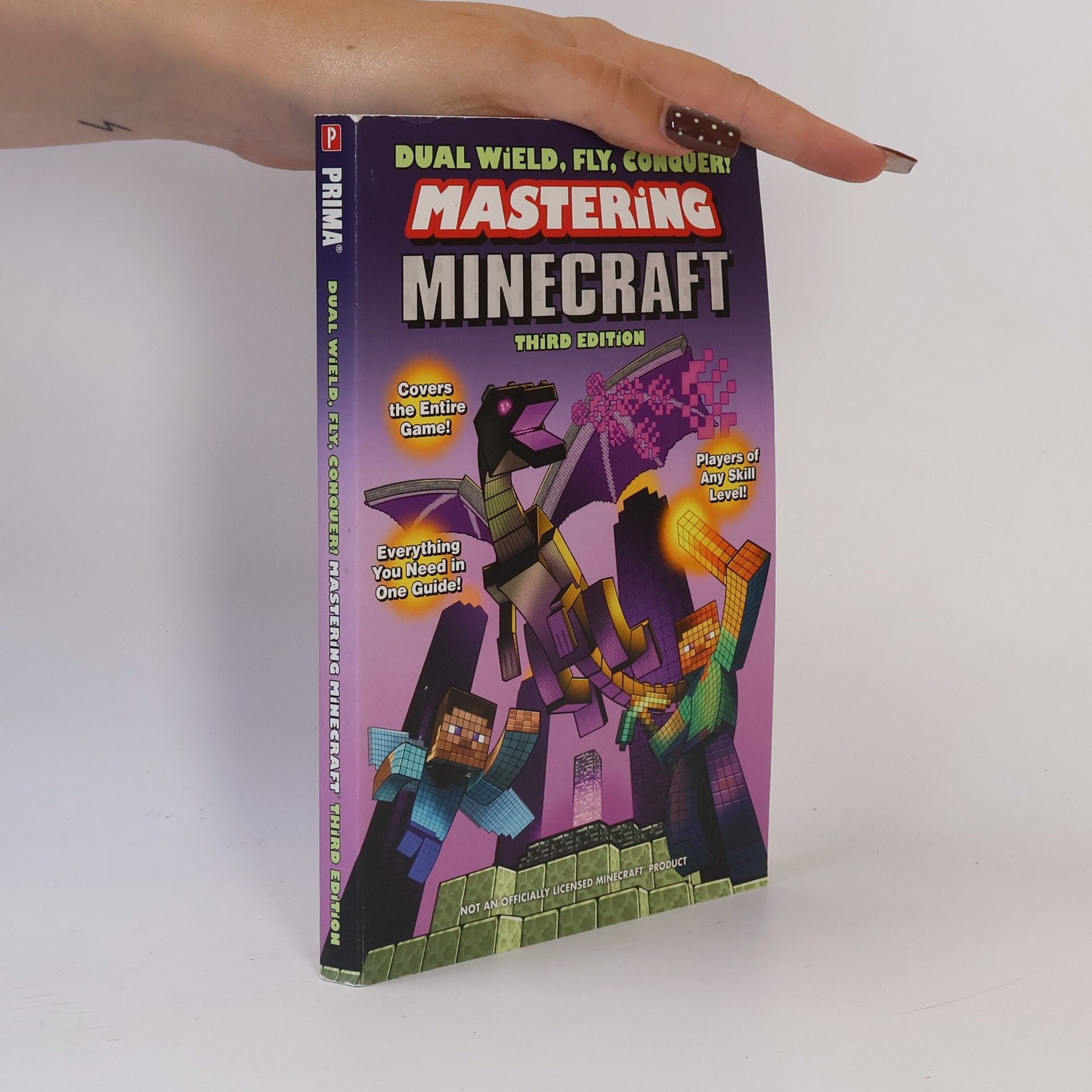 Christopher Burton Dual Wield, Fly, Conquer! Mastering Minecraft