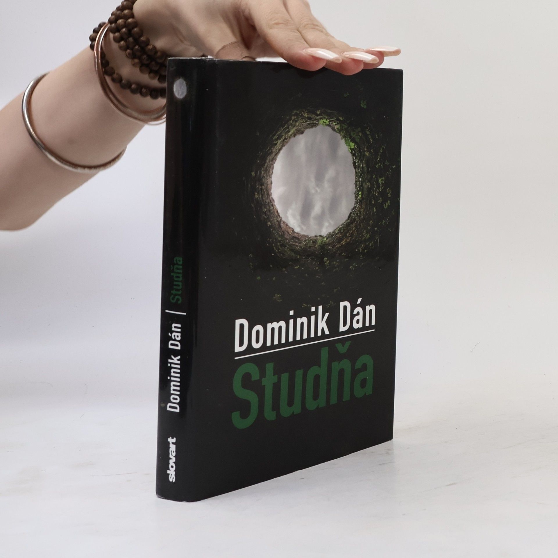 Dominik Dán Studňa