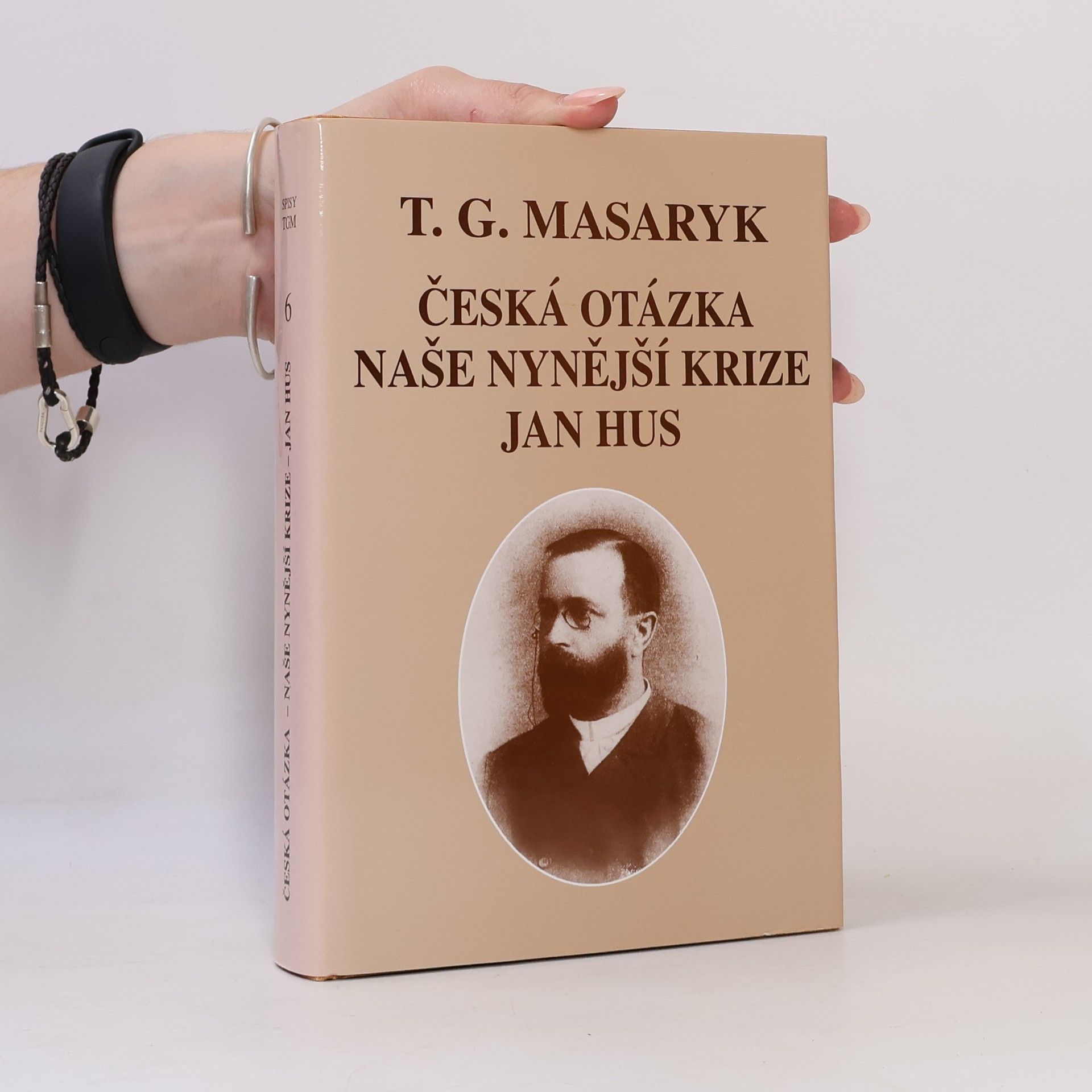 Česká otázka. Naše nynější krize