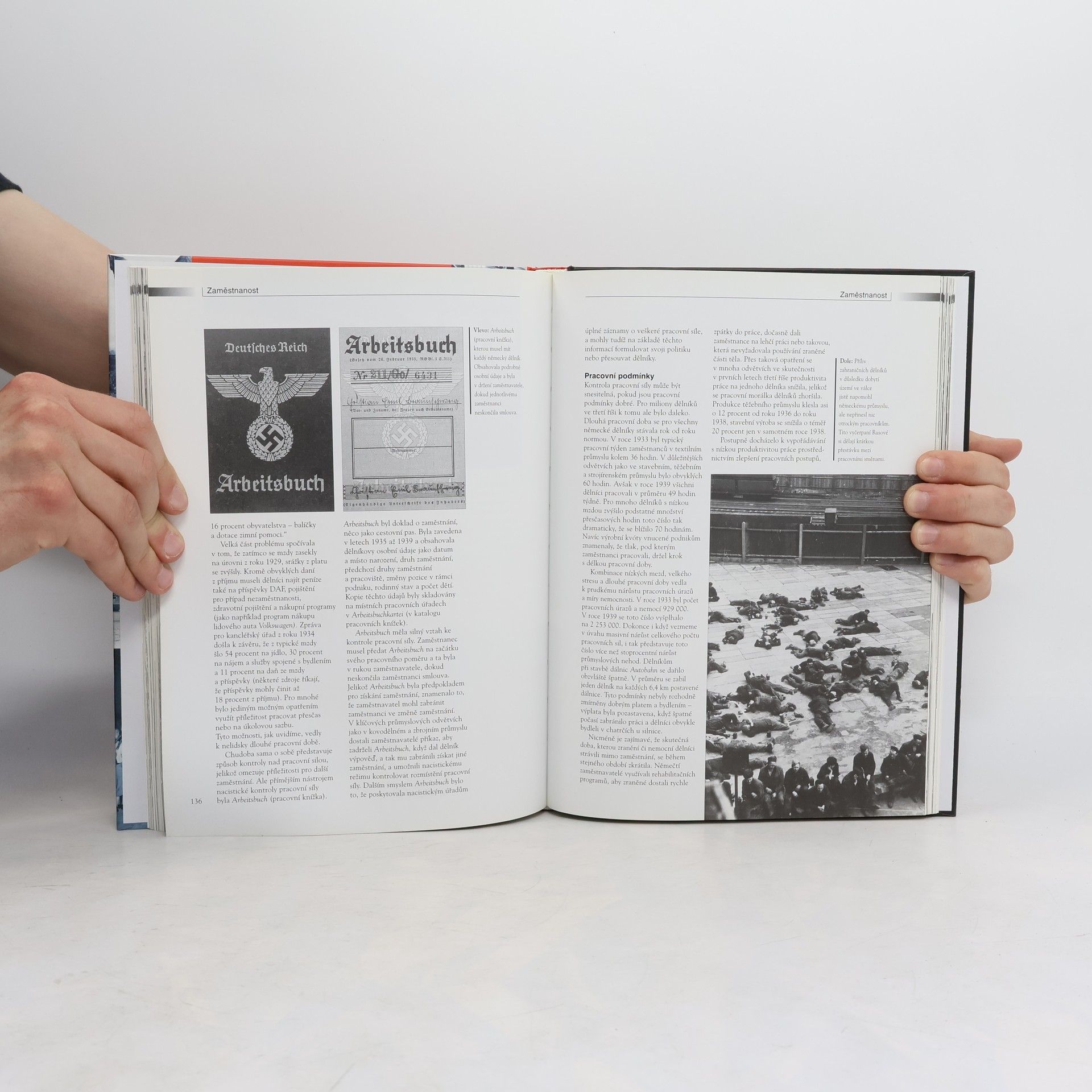Matthew S. Seligmann Ve stínu hákového kříže : Život v Německu za nacismu 1933-1945