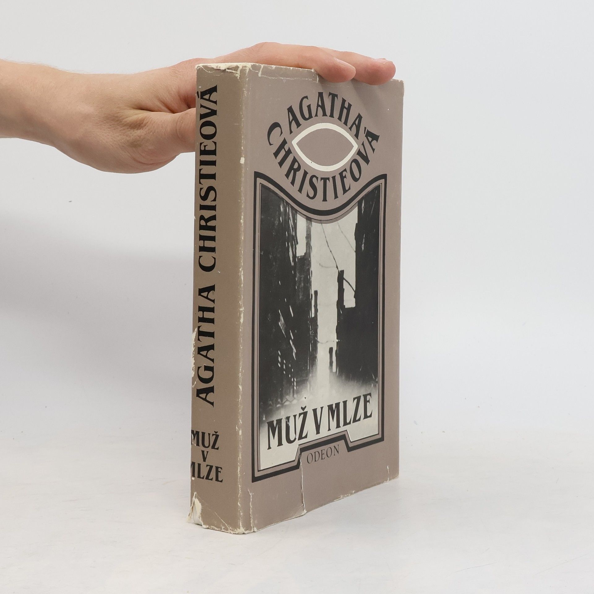 Agatha Christie Muž v mlze