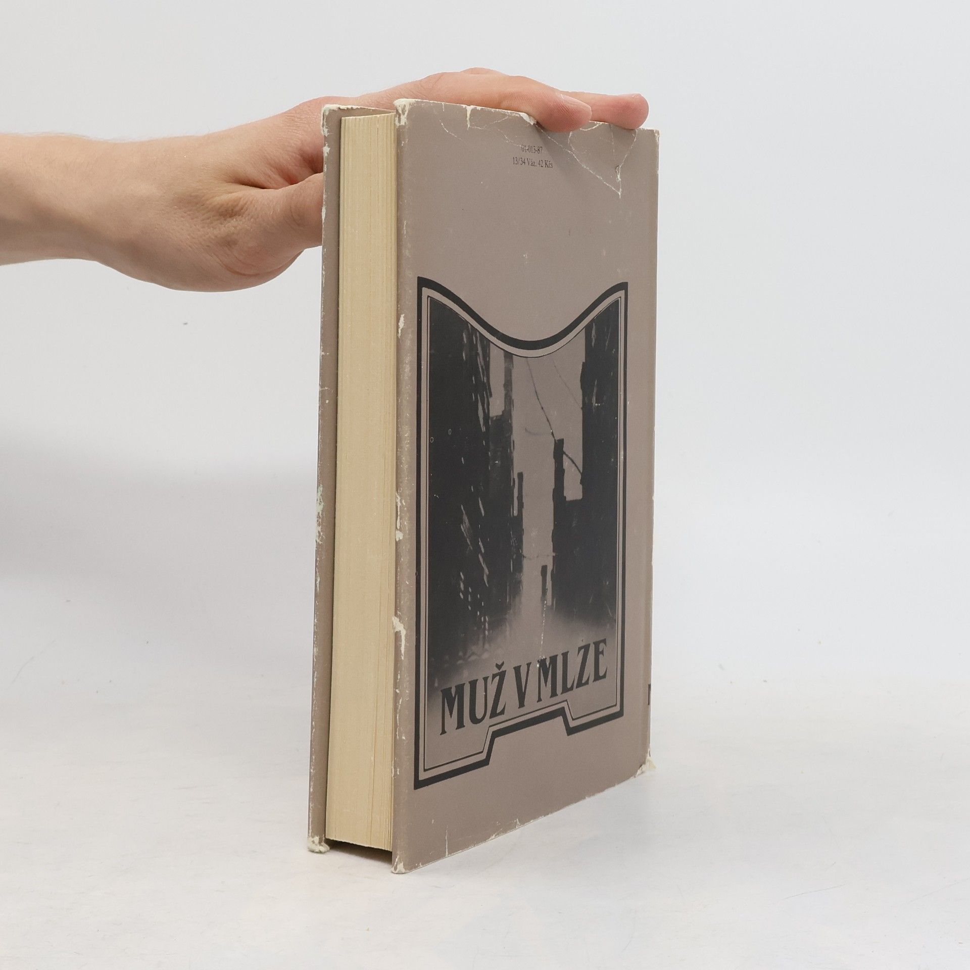 Agatha Christie Muž v mlze