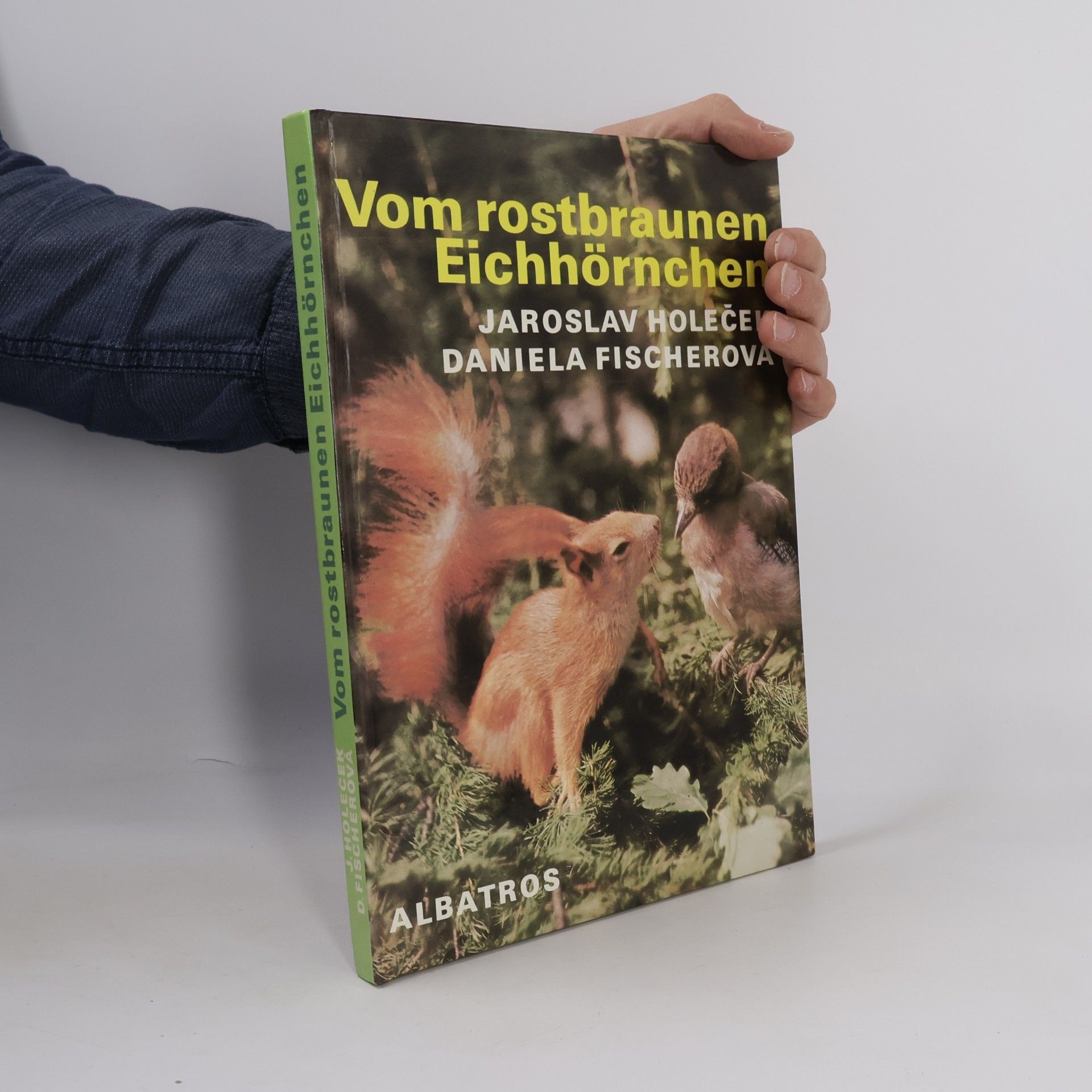 Daniela Fischer Vom rostbraunen Eichhörnchen