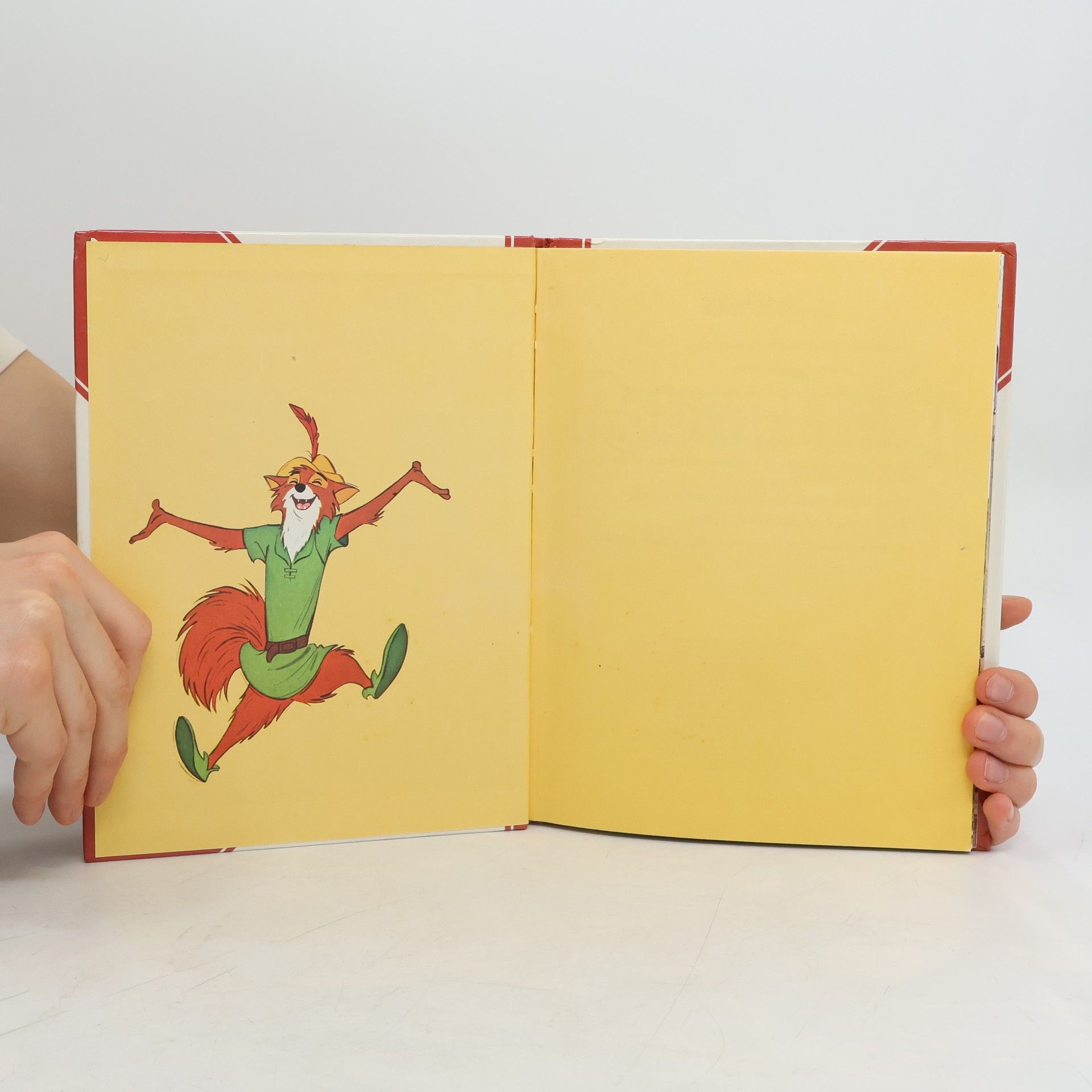 Autorenkollektiv Robin Hood