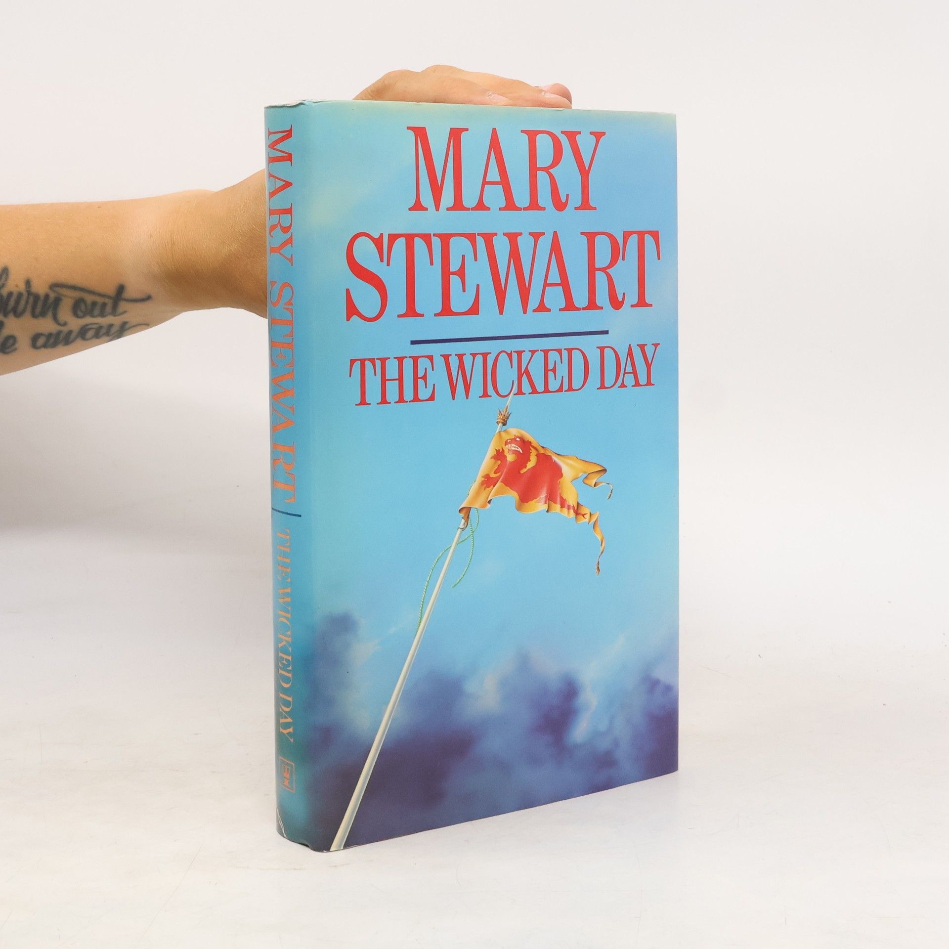 Mary Stewart-Wilson The Wicked Day
