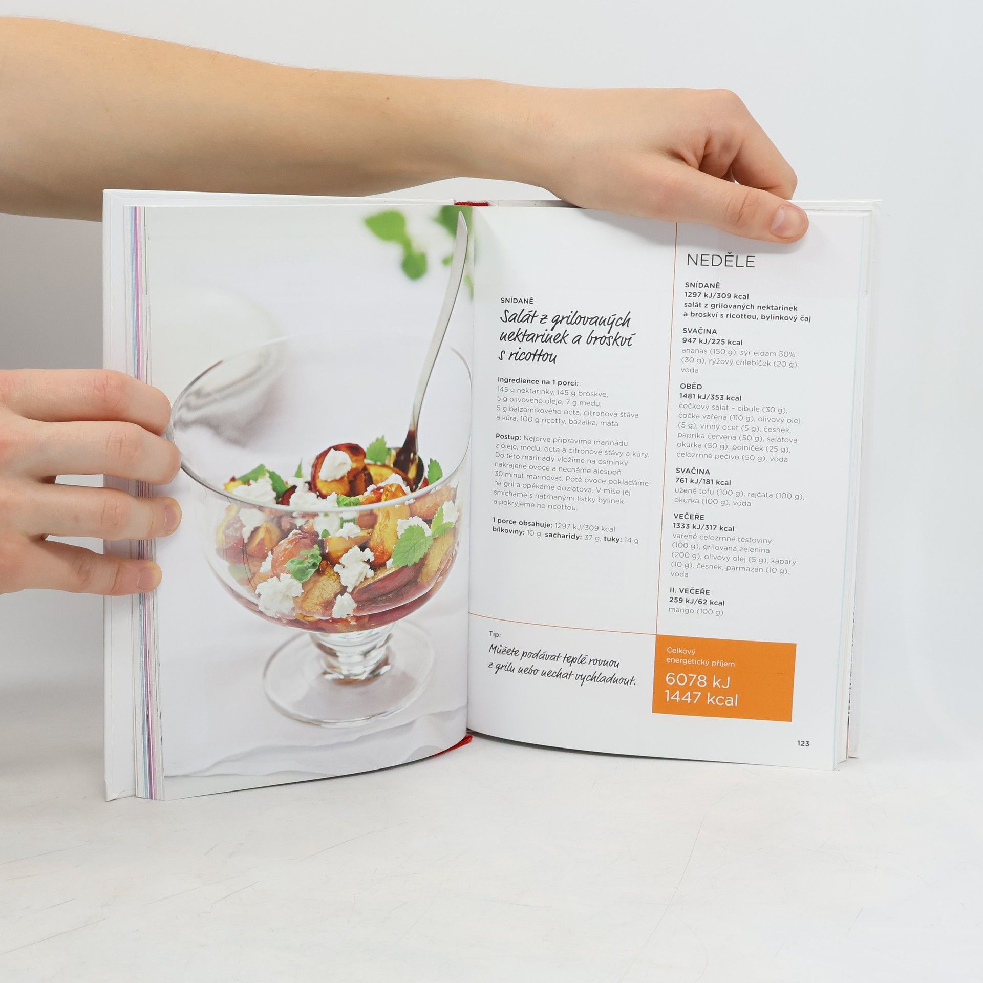 Petra Lamschová Velký dietní plán III., aneb, Jídlo pro každou příležitost