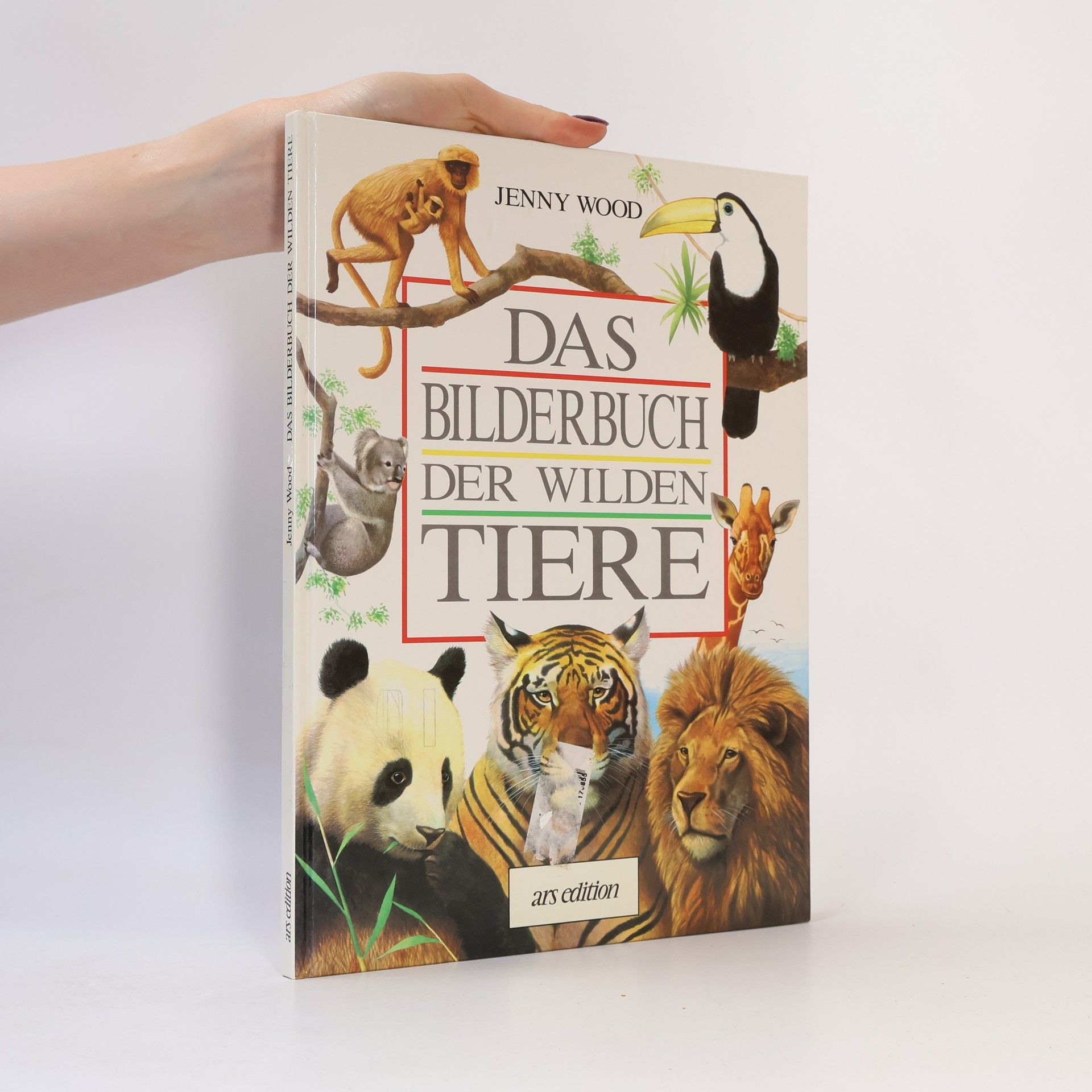 Jenny Wood Das Bilderbuch der wilden Tiere