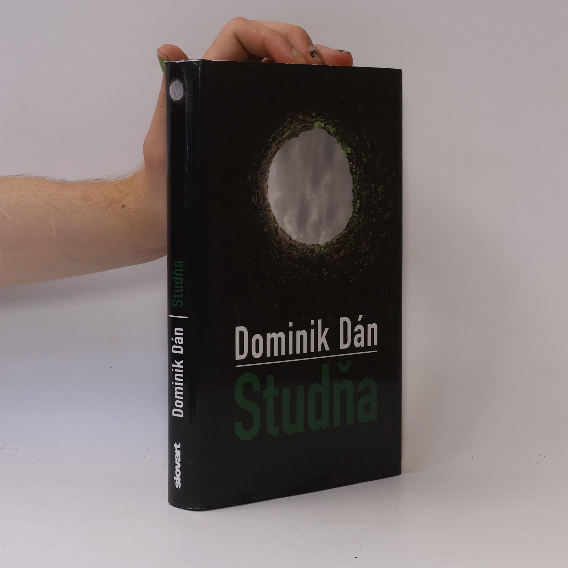 Dominik Dán Studňa