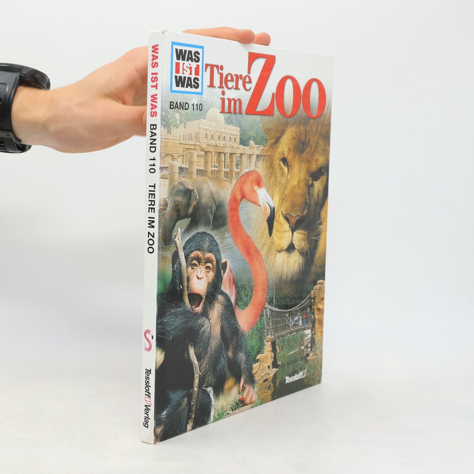 Tiere im Zoo