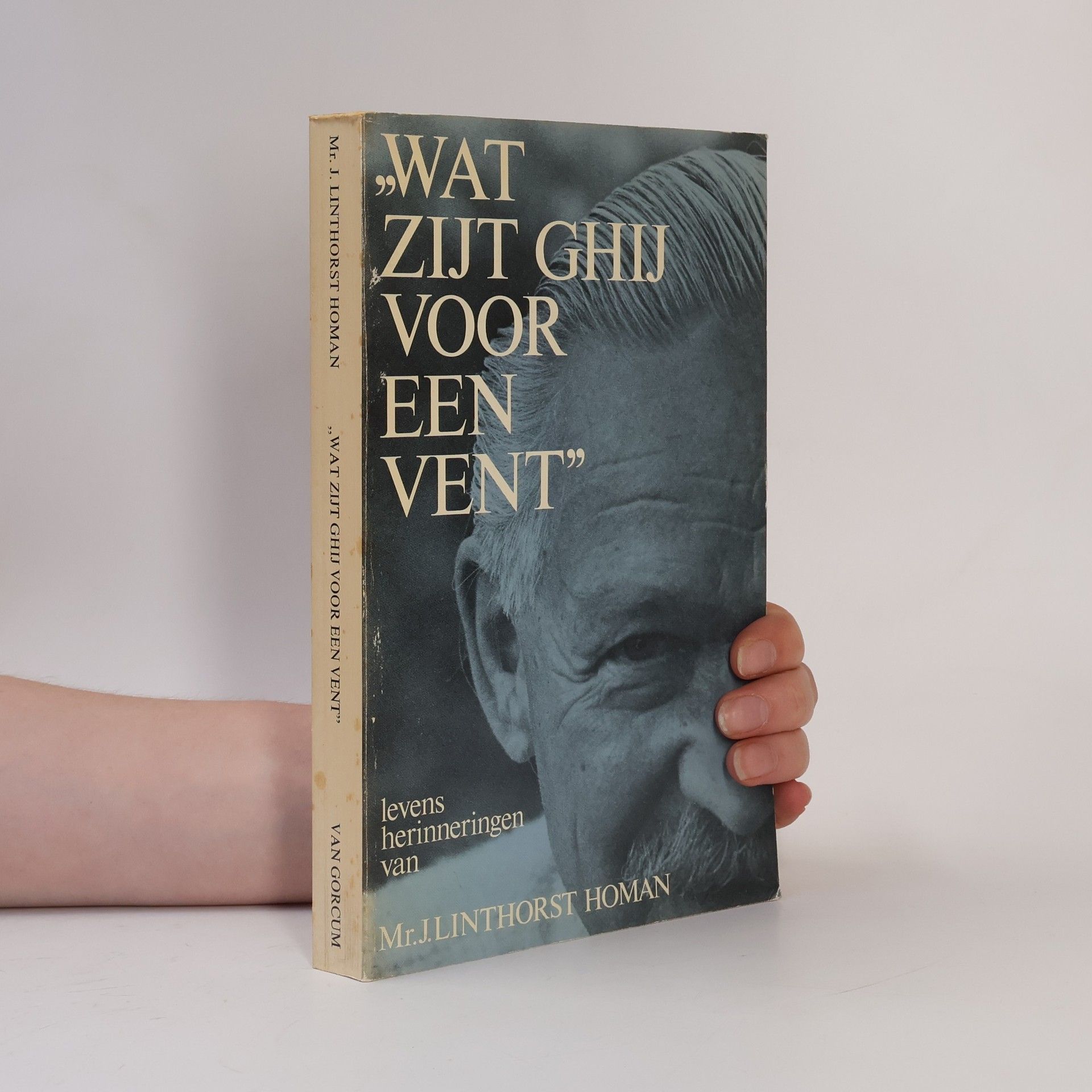 Johannes Linthorst Homan Wat zijt ghij voor een vent